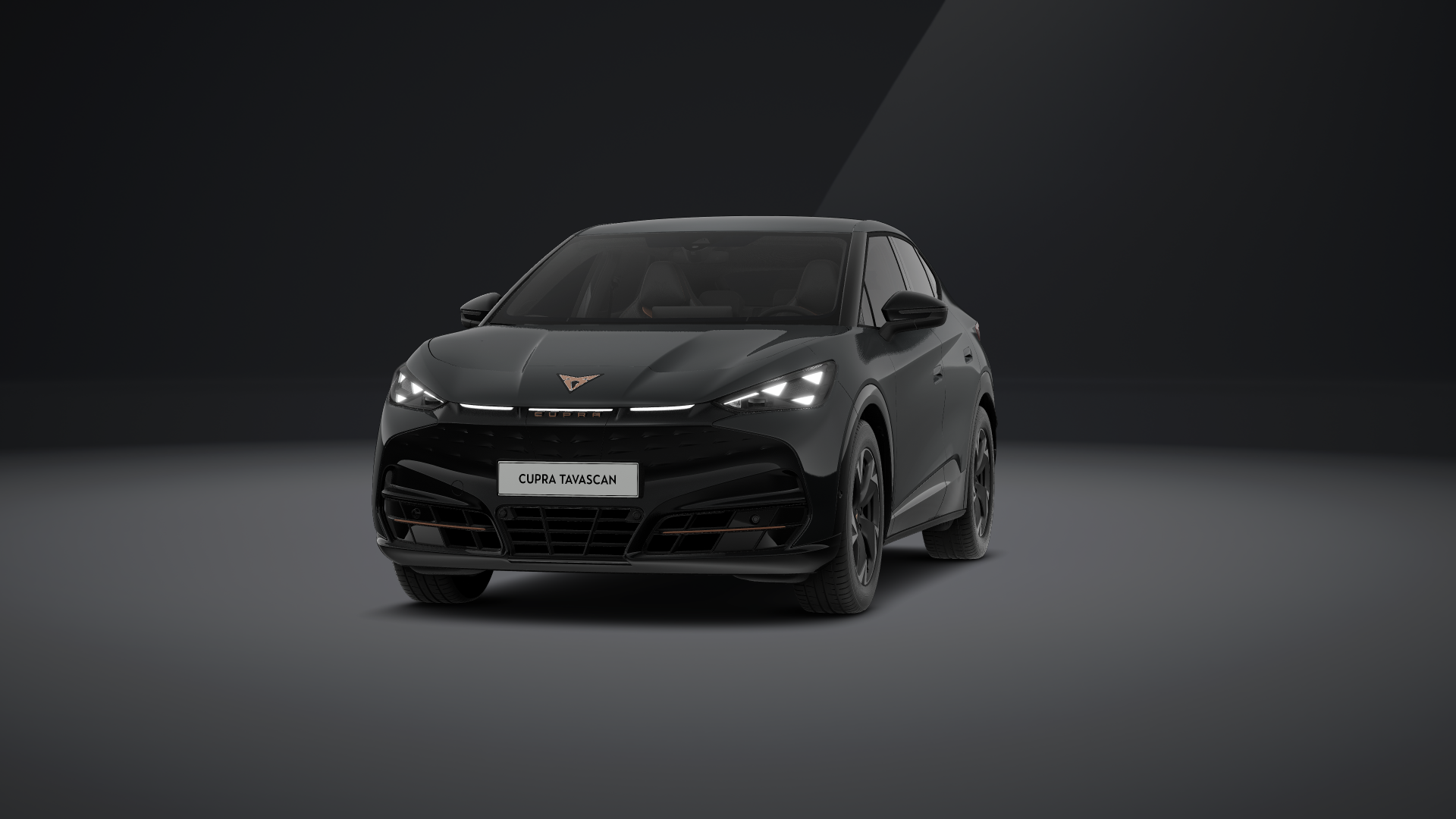 CUPRA Tavascan Endurance 210 kW (286 PS) 77 kWh (1207721182025)