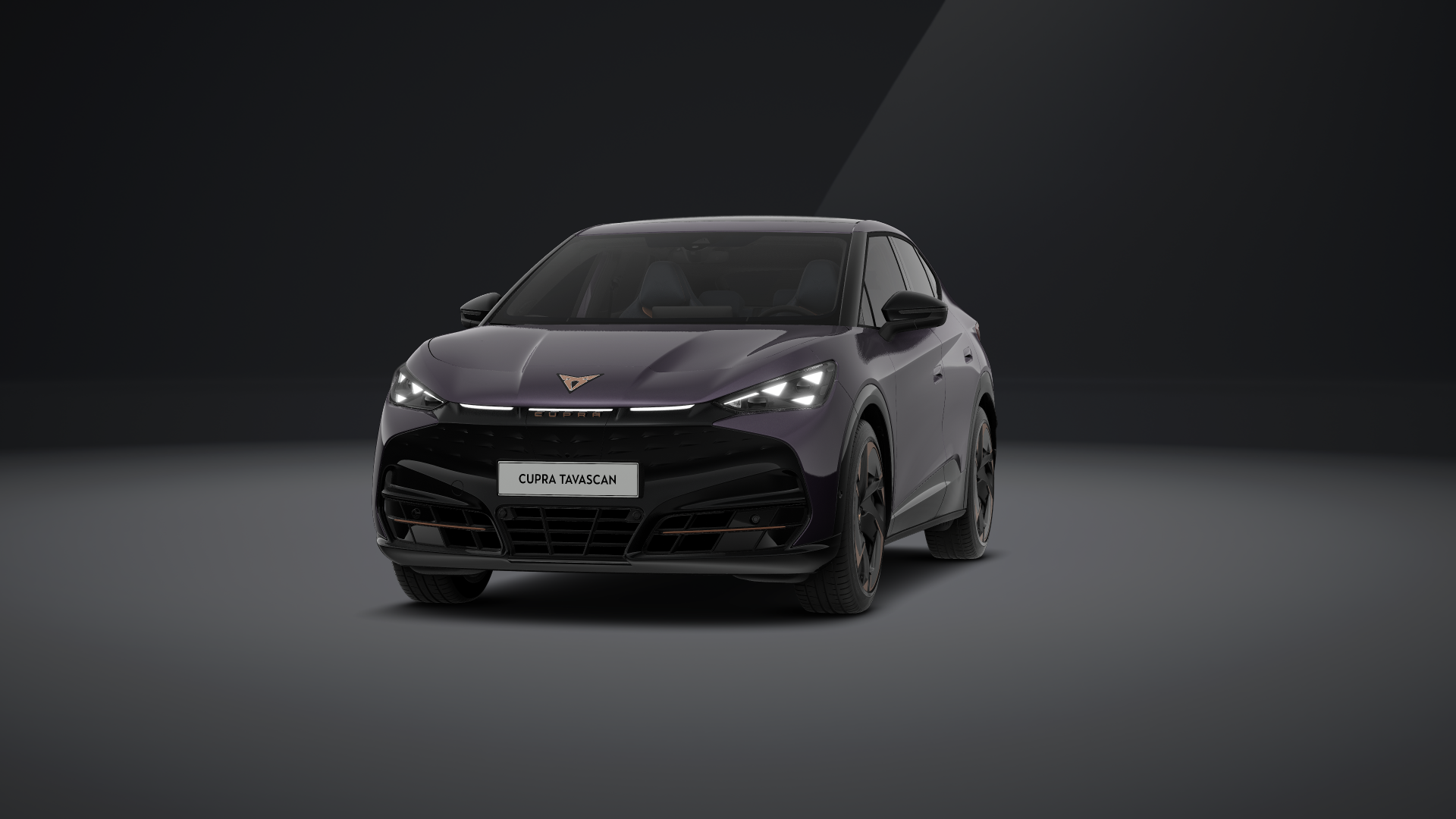 CUPRA Tavascan Endurance 210 kW (286 PS) 77 kWh (1203149462025)