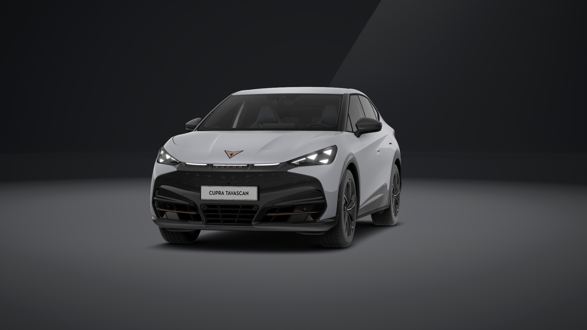 CUPRA Tavascan Endurance 210 kW (286 PS) 77 kWh (1202905592025)