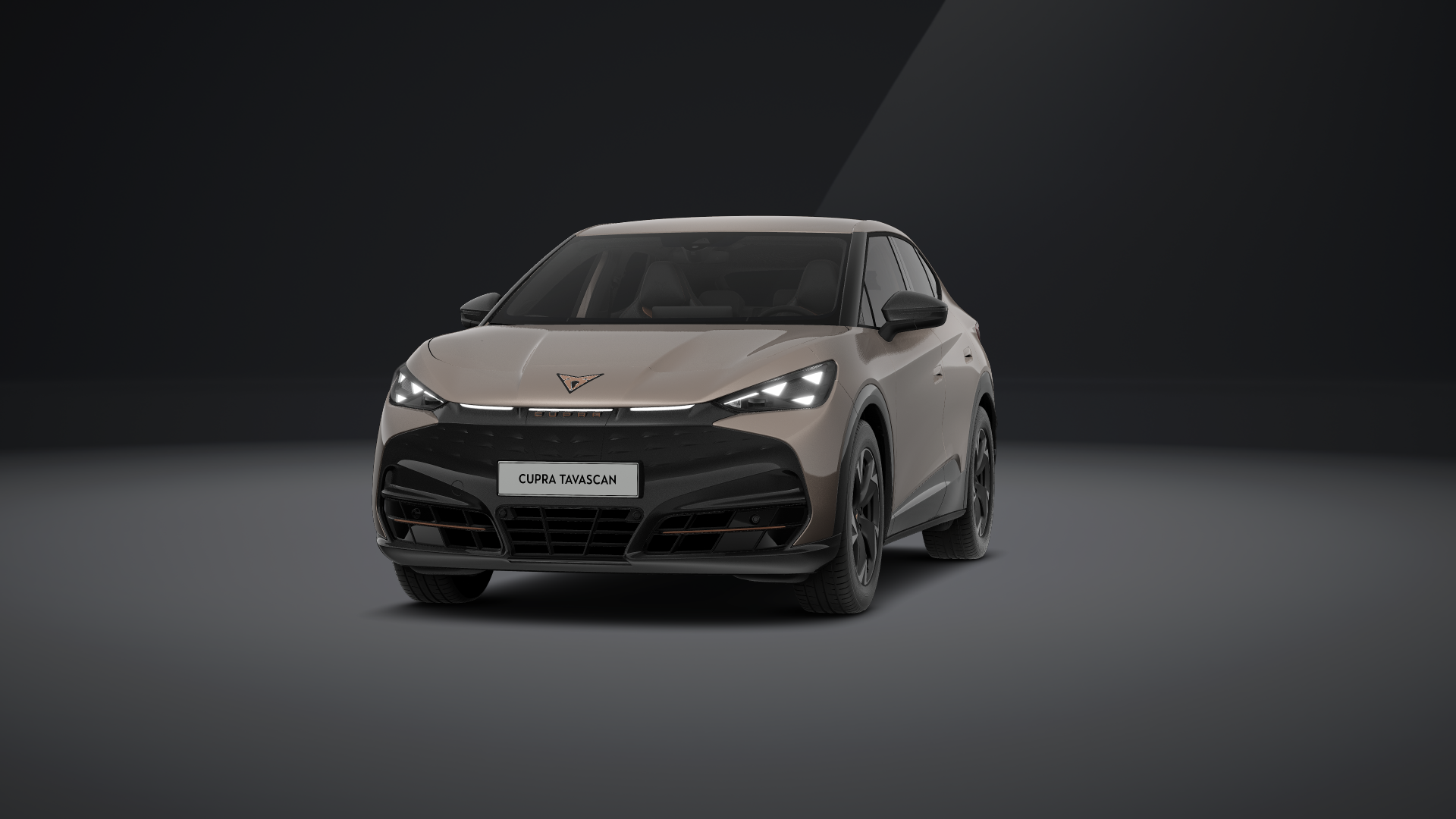 CUPRA Tavascan Endurance 210 kW (286 PS) 77 kWh (1202282302025)