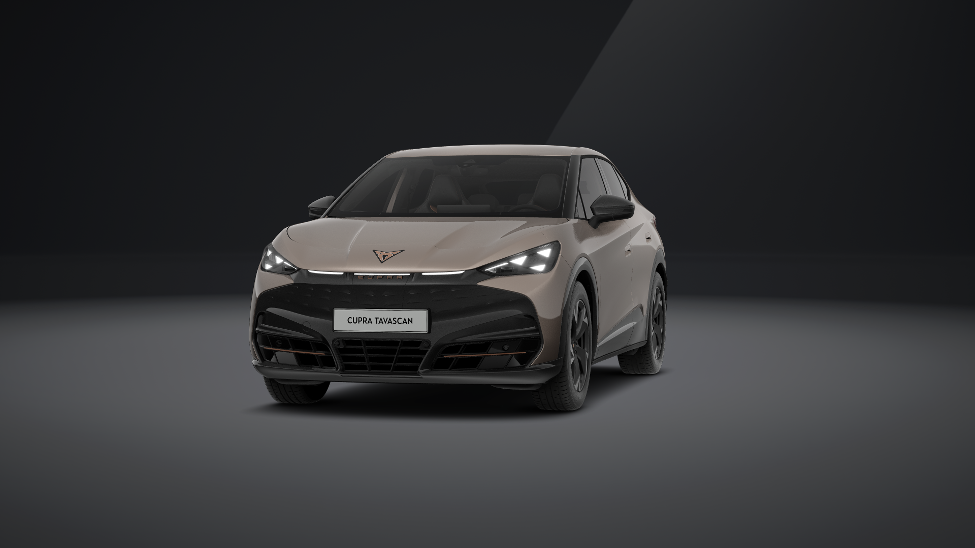 CUPRA Tavascan Endurance 210 kW (286 PS) 77 kWh (1207700352025)