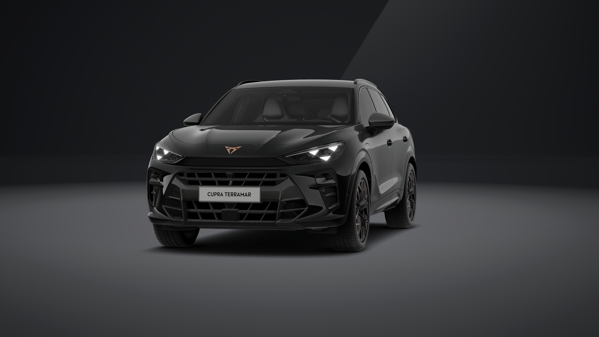 CUPRA Terramar VZ 1.5 e-HYBRID 200 kW (272 PS) 6-Gang-DSG (1202132902025)