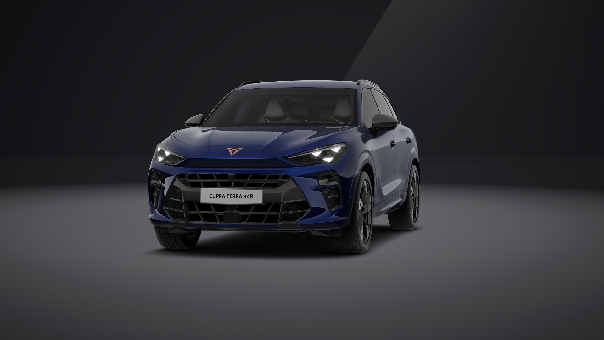 CUPRA Terramar 2.0 TSI 150 kW (204 PS) 7-Gang DSG 4Drive (1202140262025)