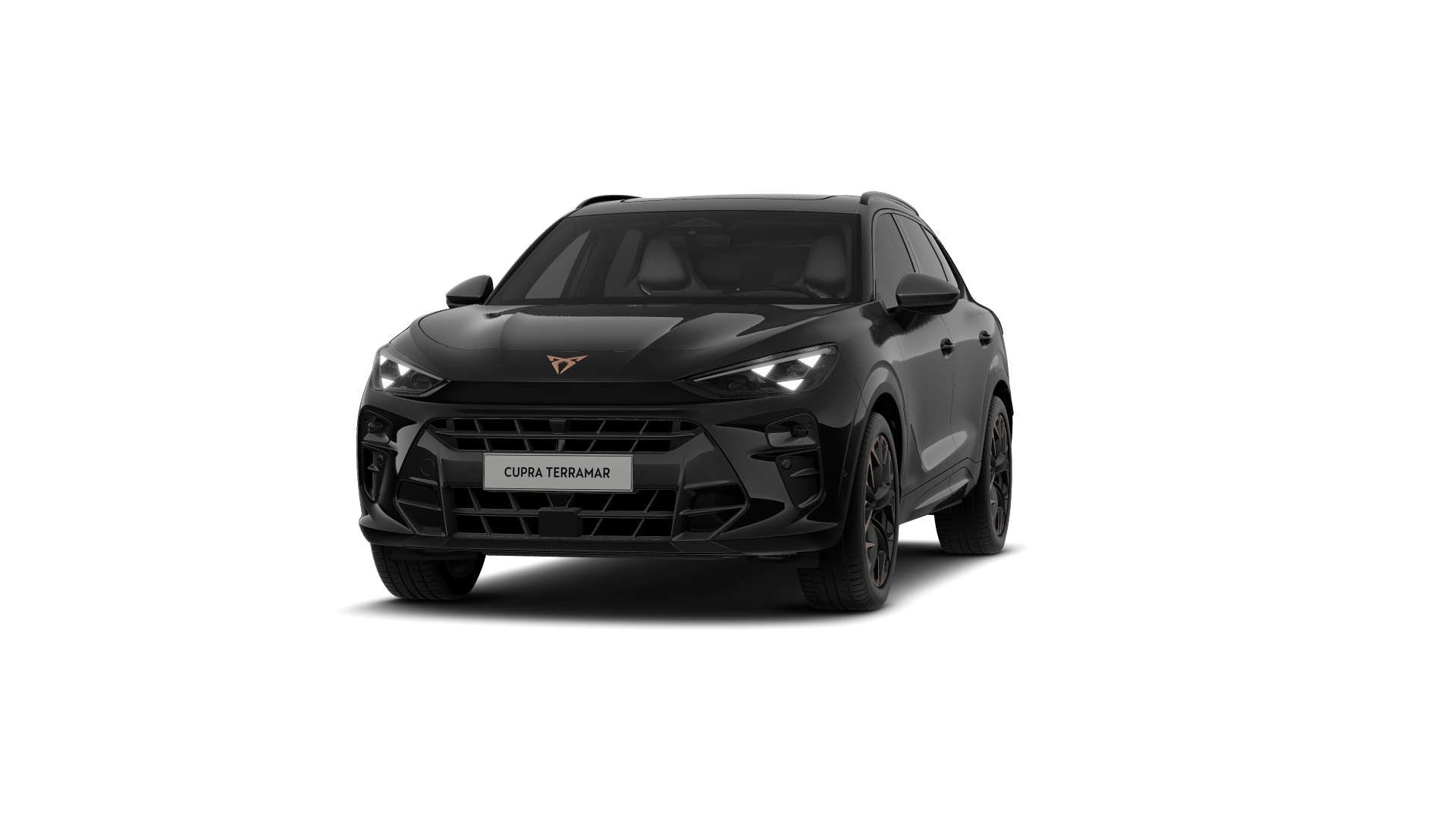 CUPRA Terramar VZ 2.0 TSI 195 kW (265 PS) 7-Gang DSG 4Drive (1202284422025)