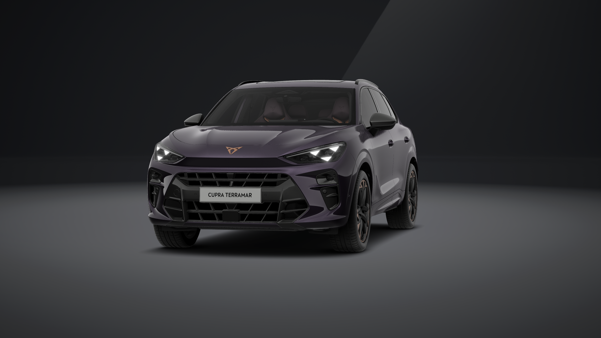 CUPRA Terramar VZ 2.0 TSI 195 kW (265 PS) 7-Gang DSG 4Drive (1202128932025)