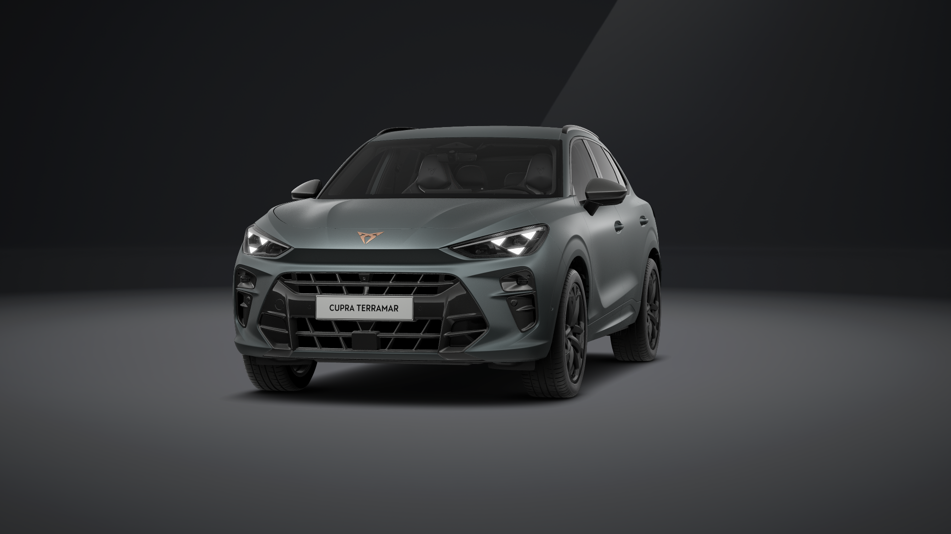CUPRA Terramar America`s CUP Limited Edition 2.0 TSI 195 kW (265 PS) 7-Gang DSG 4Drive (1202053202025)