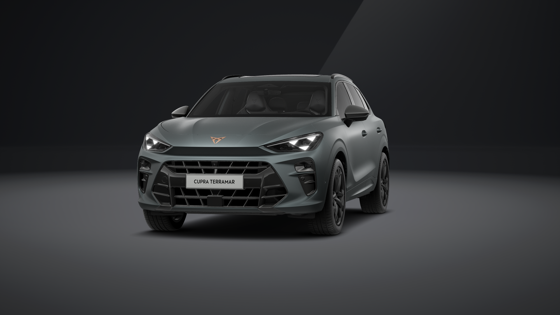CUPRA Terramar America`s CUP Limited Edition 2.0 TSI 195 kW (265 PS) 7-Gang DSG 4Drive (1202054042025)