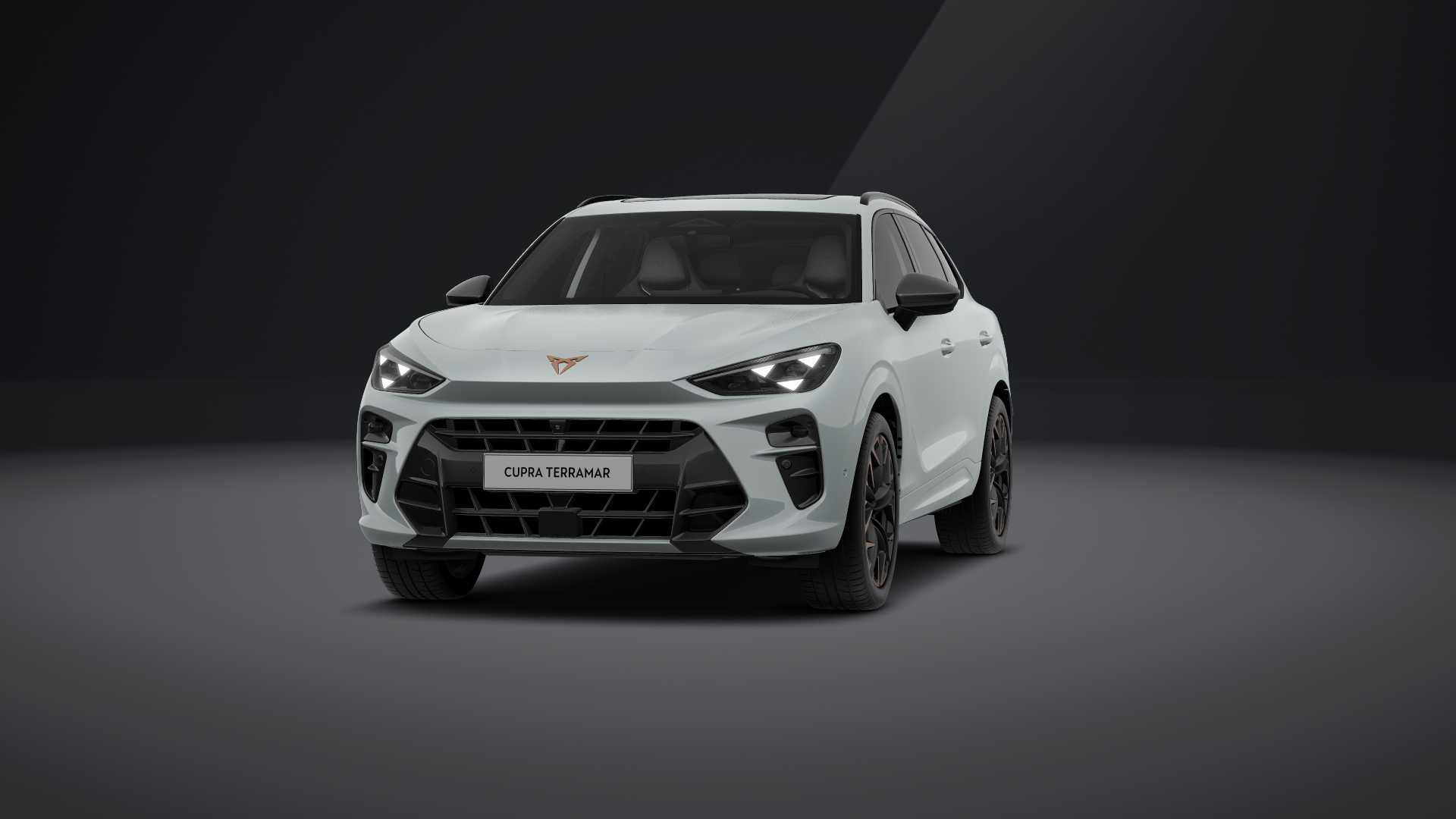 CUPRA Terramar VZ 2.0 TSI 195 kW (265 PS) 7-Gang DSG 4Drive (1202284982025)