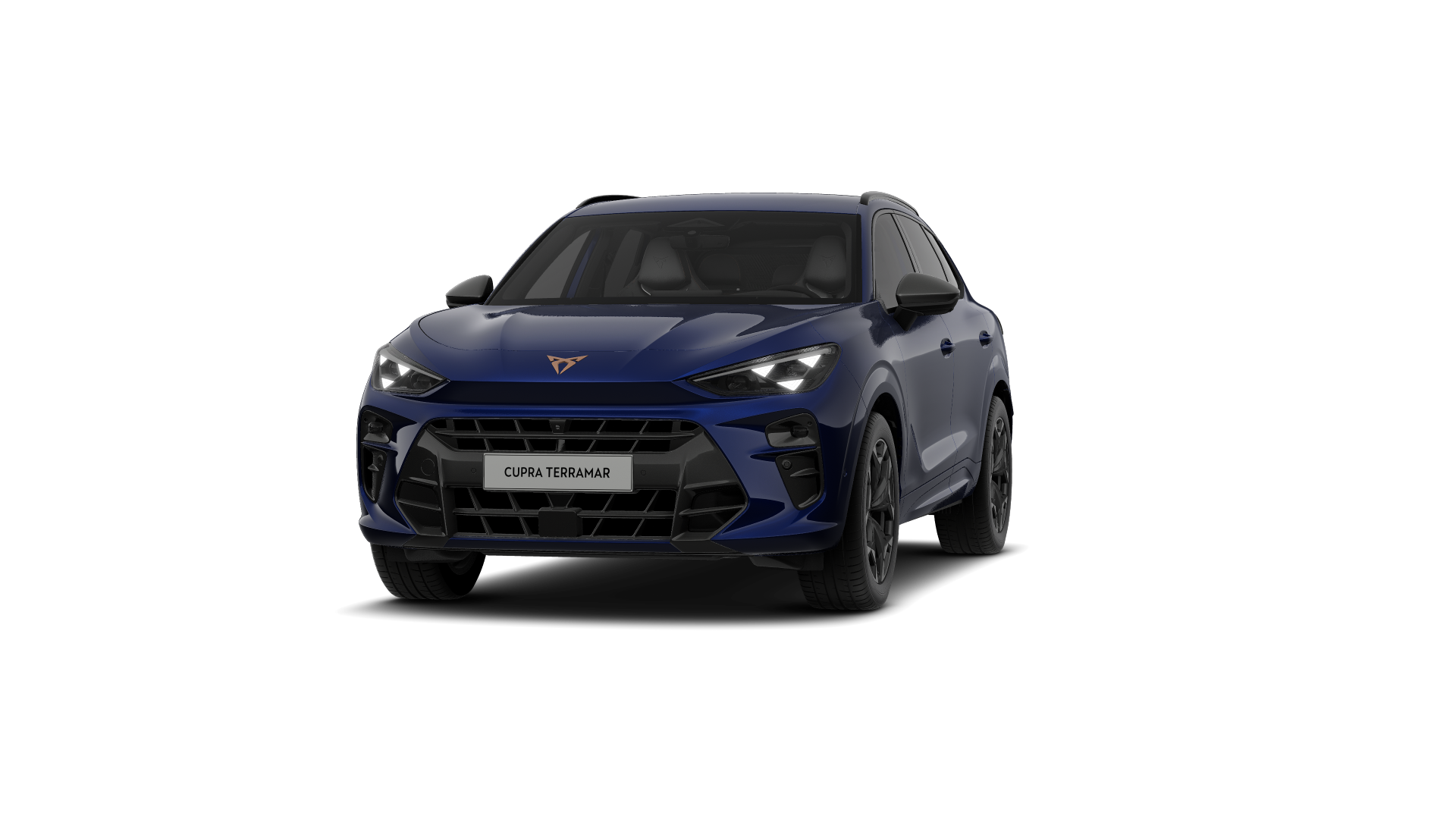 CUPRA Terramar 2.0 TSI 150 kW (204 PS) 7-Gang DSG 4Drive (1202279012025)