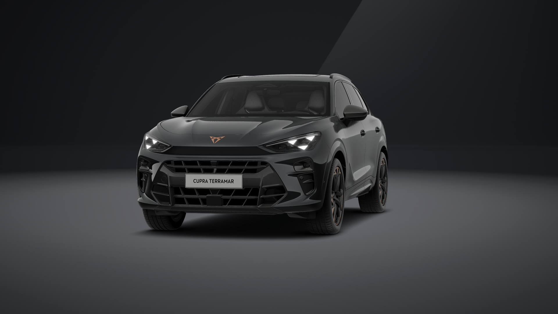 CUPRA Terramar 1.5 eTSI 110 kW (150 PS) 7-Gang-DSG (1202128902025)