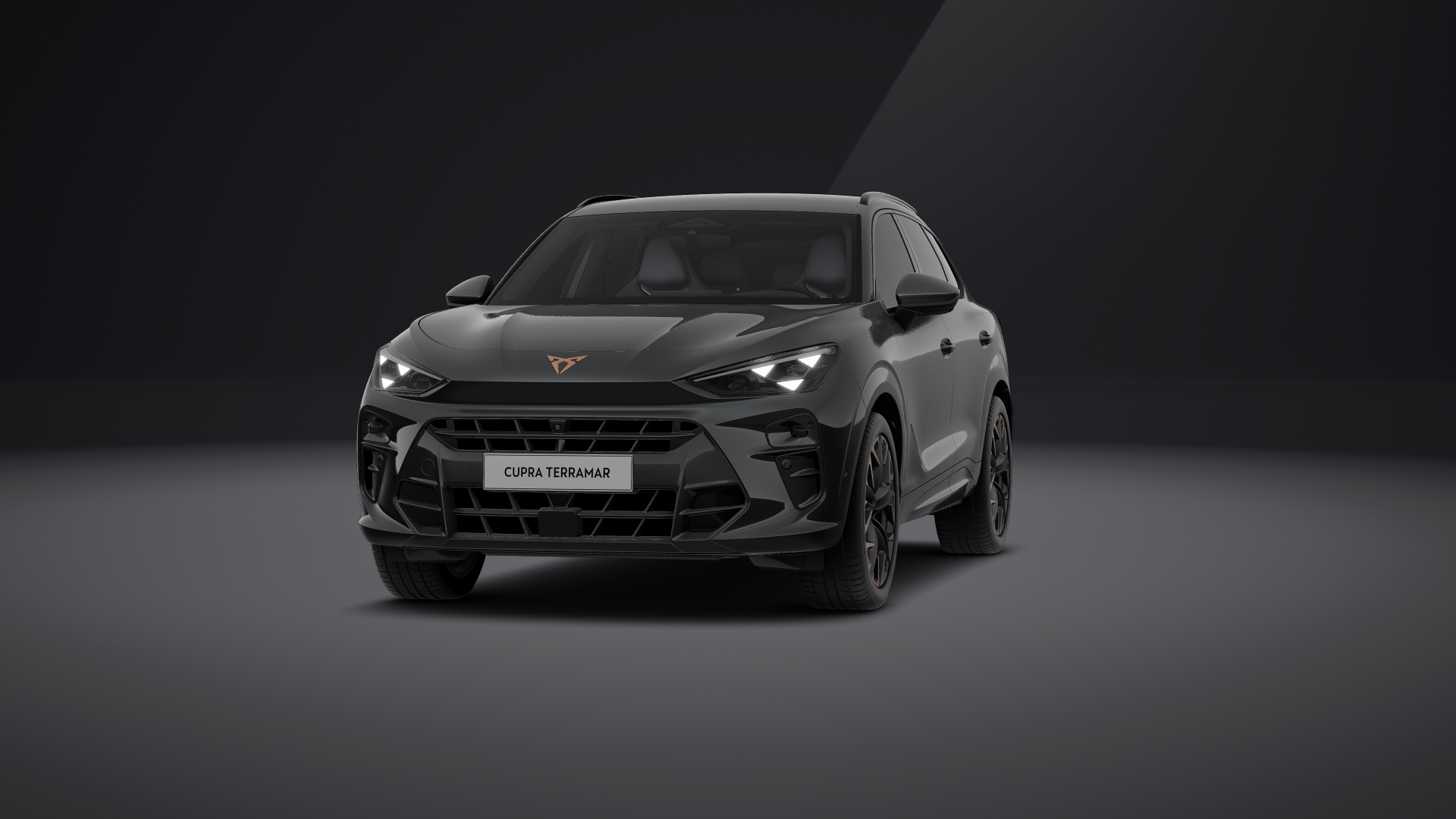 CUPRA Terramar 2.0 TSI 150 kW (204 PS) 7-Gang DSG 4Drive (1202029552025)