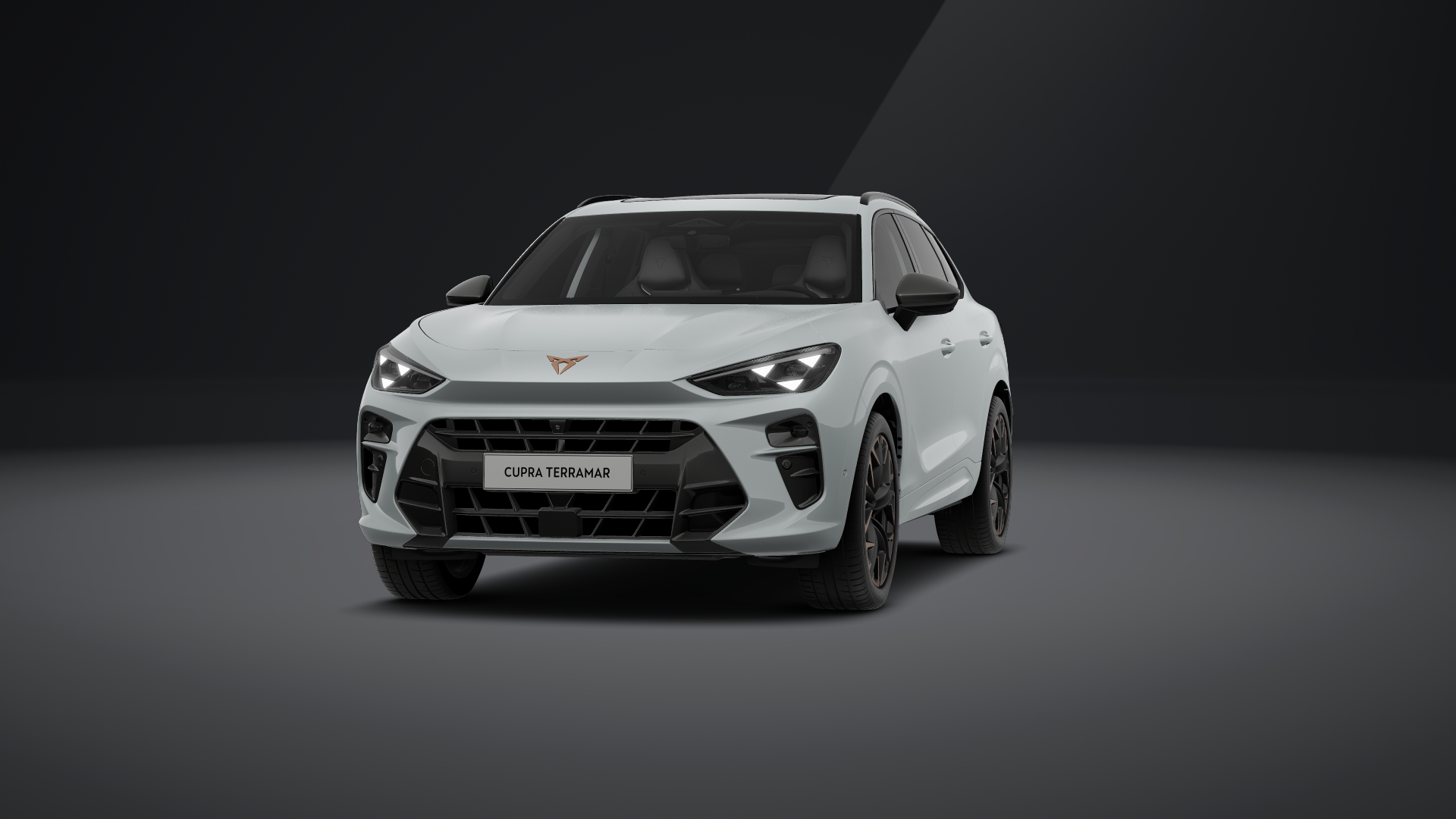 CUPRA Terramar VZ 2.0 TSI 195 kW (265 PS) 7-Gang DSG 4Drive (1201970042025)