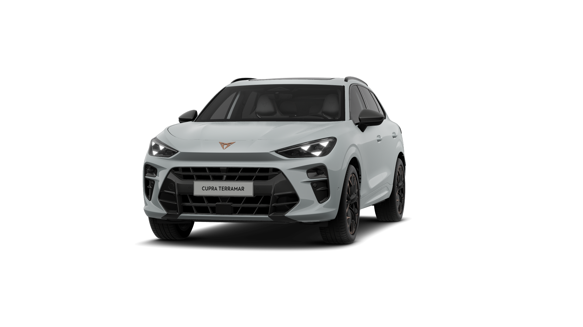 CUPRA Terramar VZ 2.0 TSI 195 kW (265 PS) 7-Gang DSG 4Drive (1202072112025)