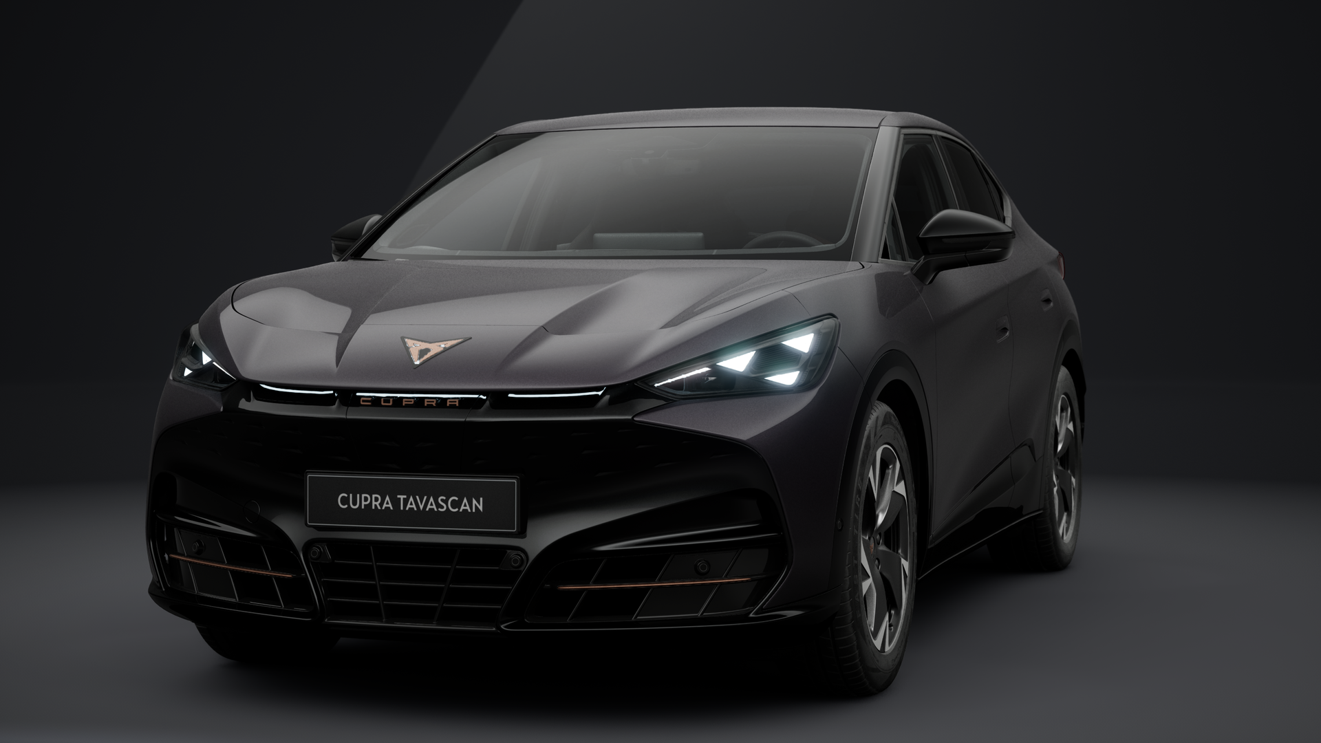 CUPRA Tavascan Endurance 210 kW (286 PS) 77 kWh (1203071742025)