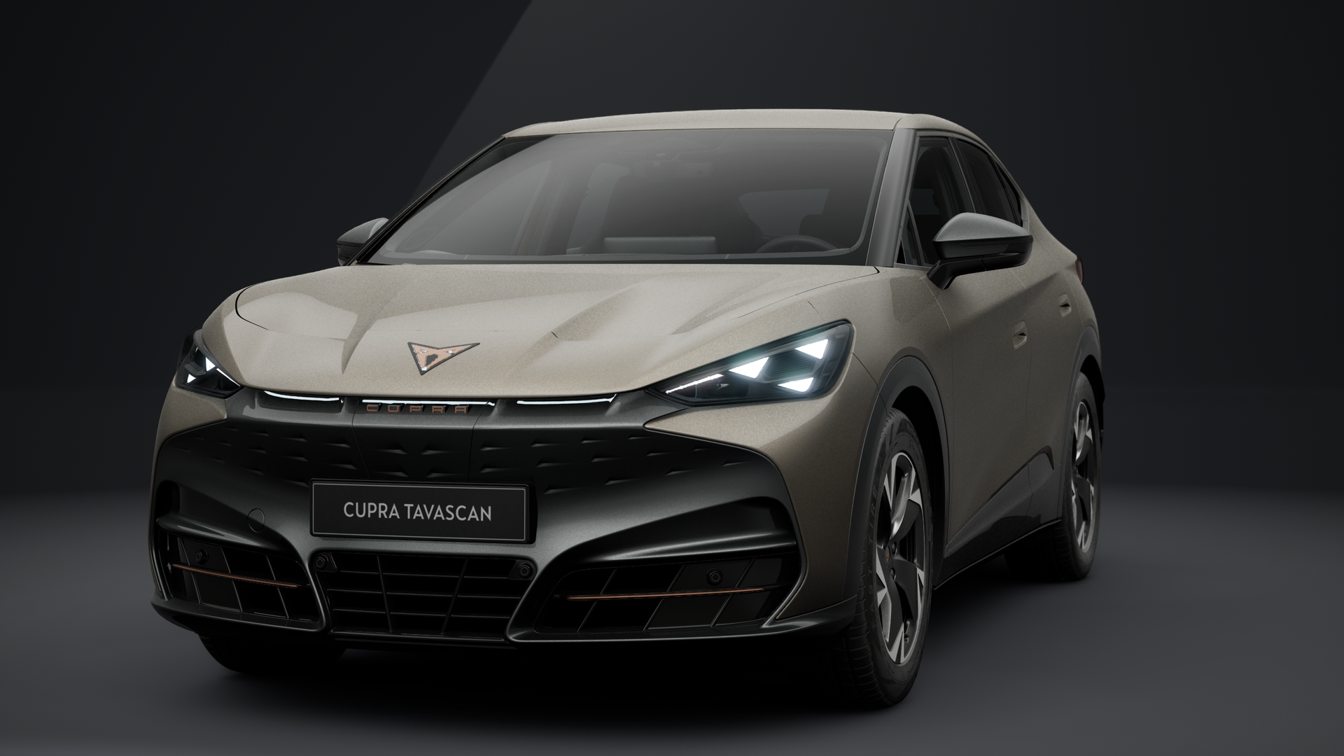 CUPRA Tavascan Endurance 210 kW (286 PS) 77 kWh (1203444192025)
