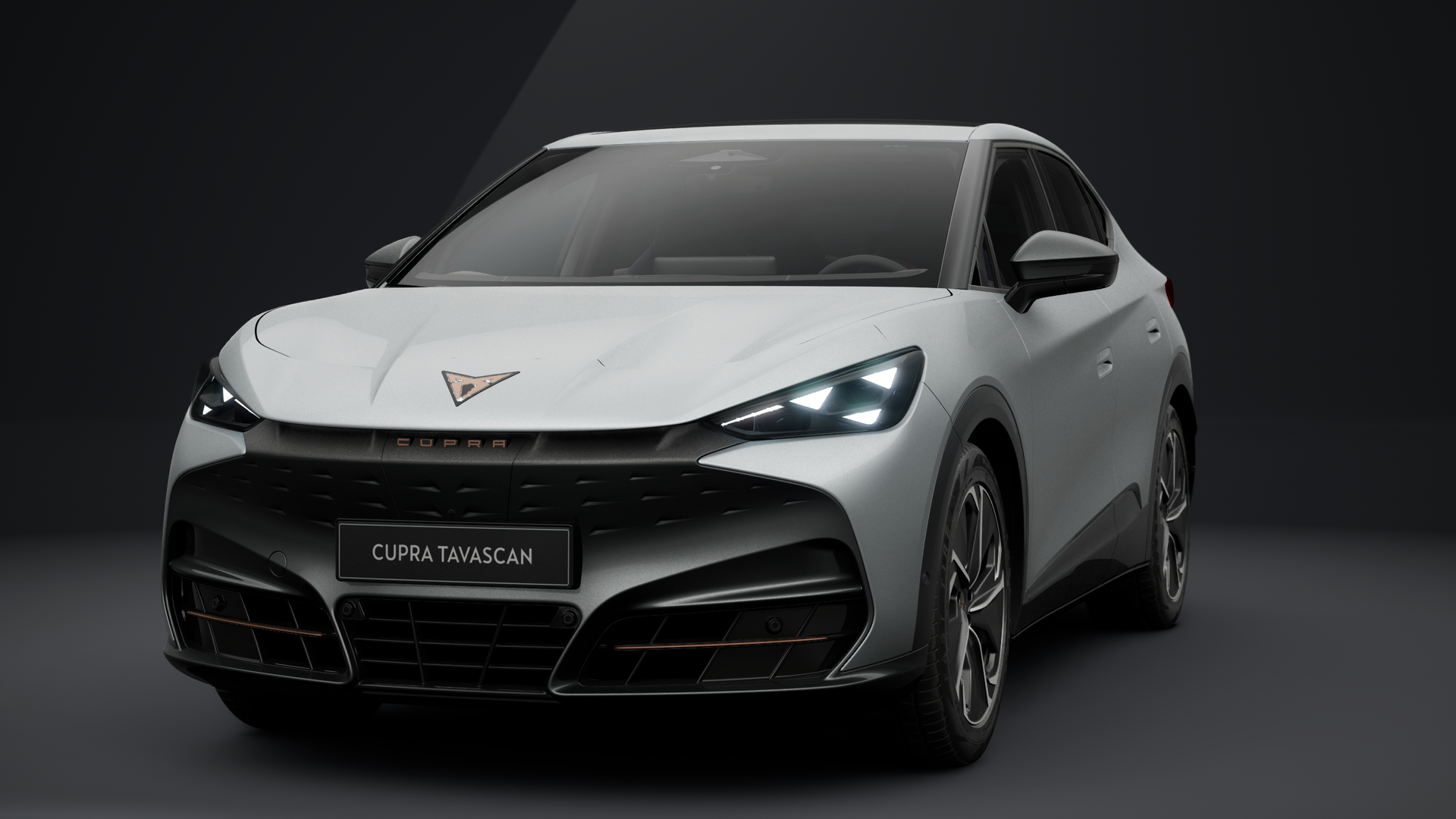 CUPRA Tavascan Endurance 210 kW (286 PS) 77 kWh (1203767092026)