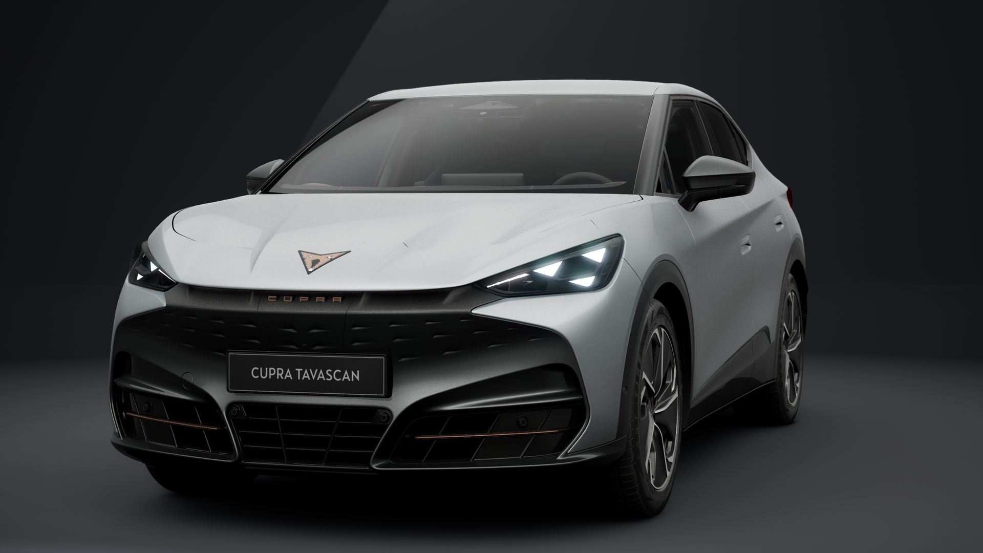 CUPRA Tavascan Endurance 210 kW (286 PS) 77 kWh (1204396712026)
