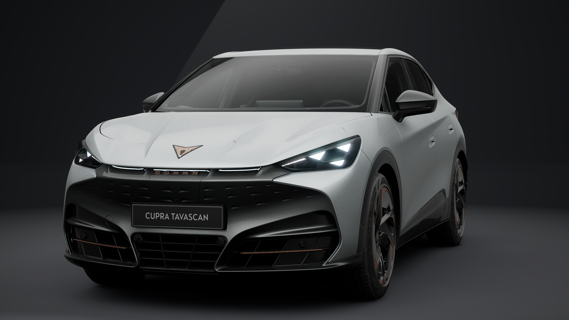 CUPRA Tavascan Endurance 210 kW (286 PS) 77 kWh (1204012682026)