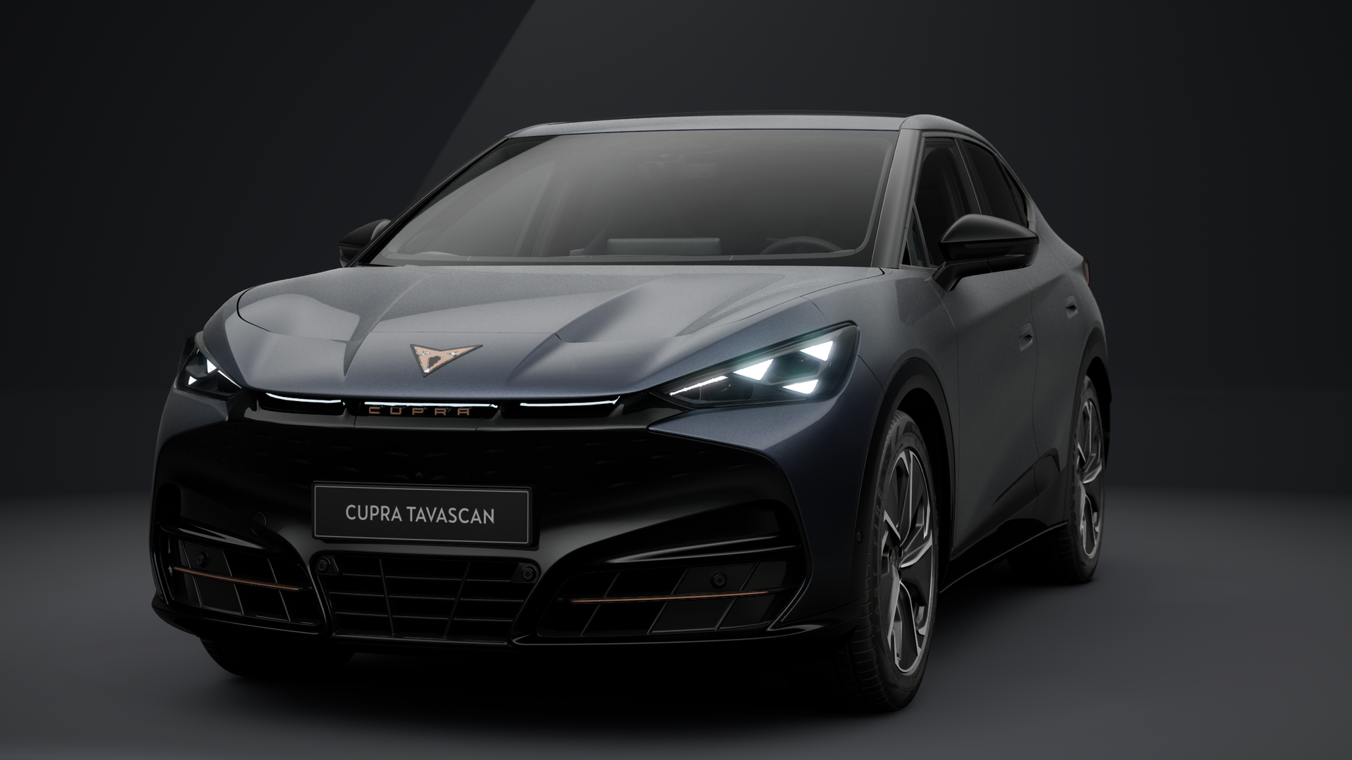CUPRA Tavascan Endurance 210 kW (286 PS) 77 kWh (1203128432025)