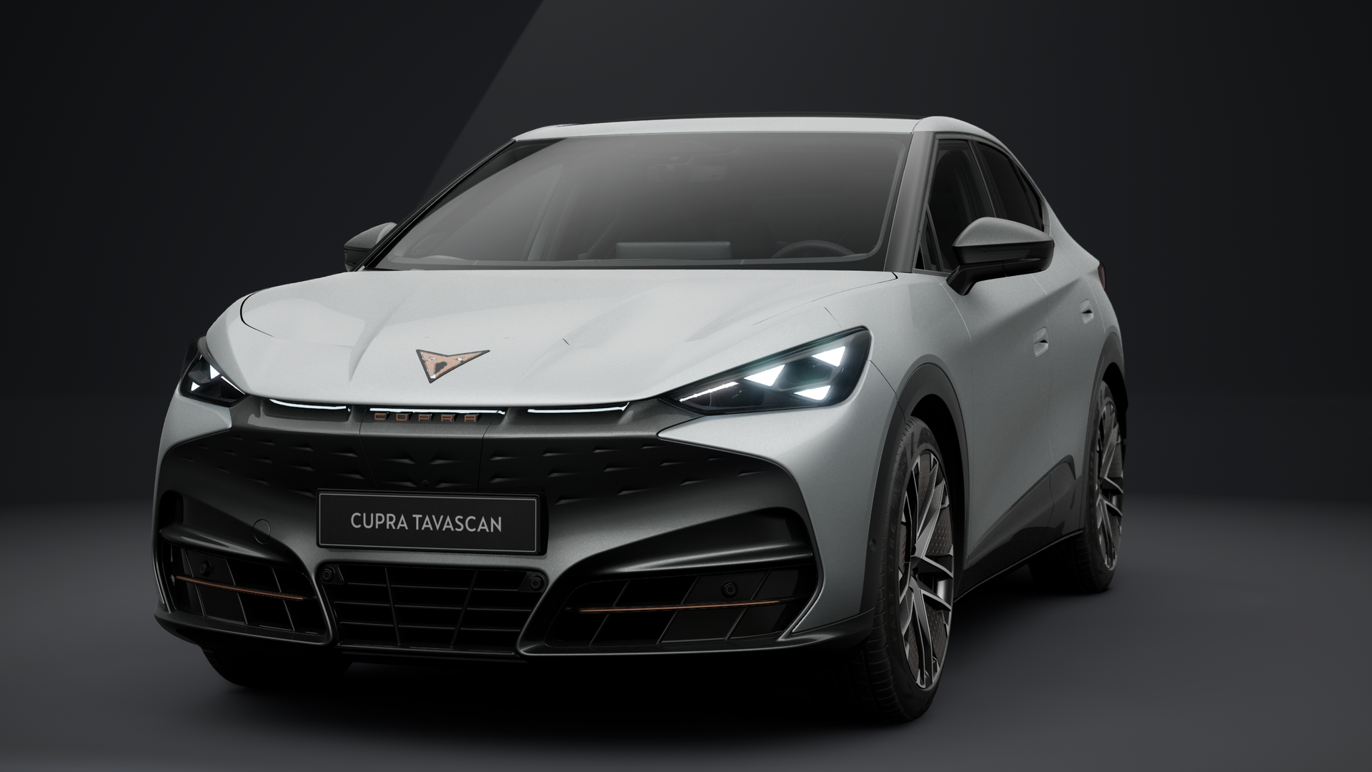 CUPRA Tavascan Endurance 210 kW (286 PS) 77 kWh (1204417792026)