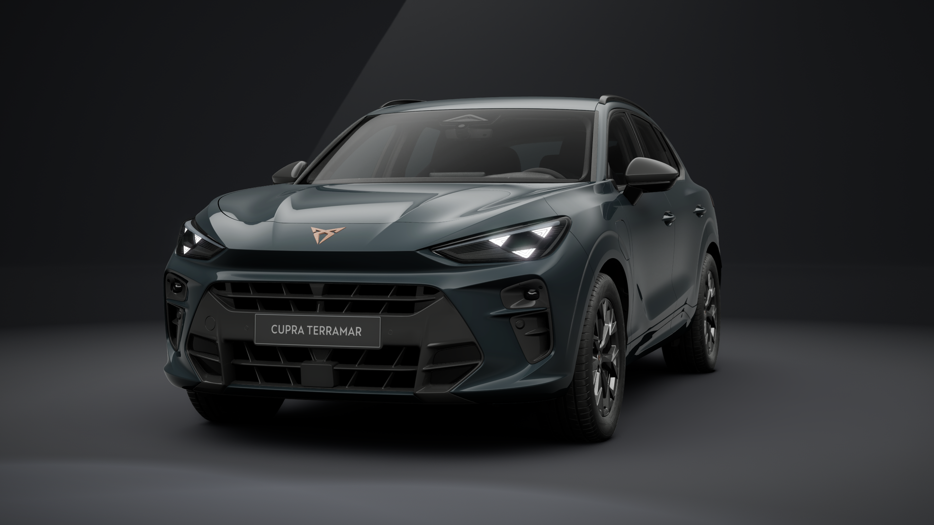 CUPRA Terramar 1.5 e-HYBRID 150 kW (204 PS) 6-Gang-DSG (1203362912025)