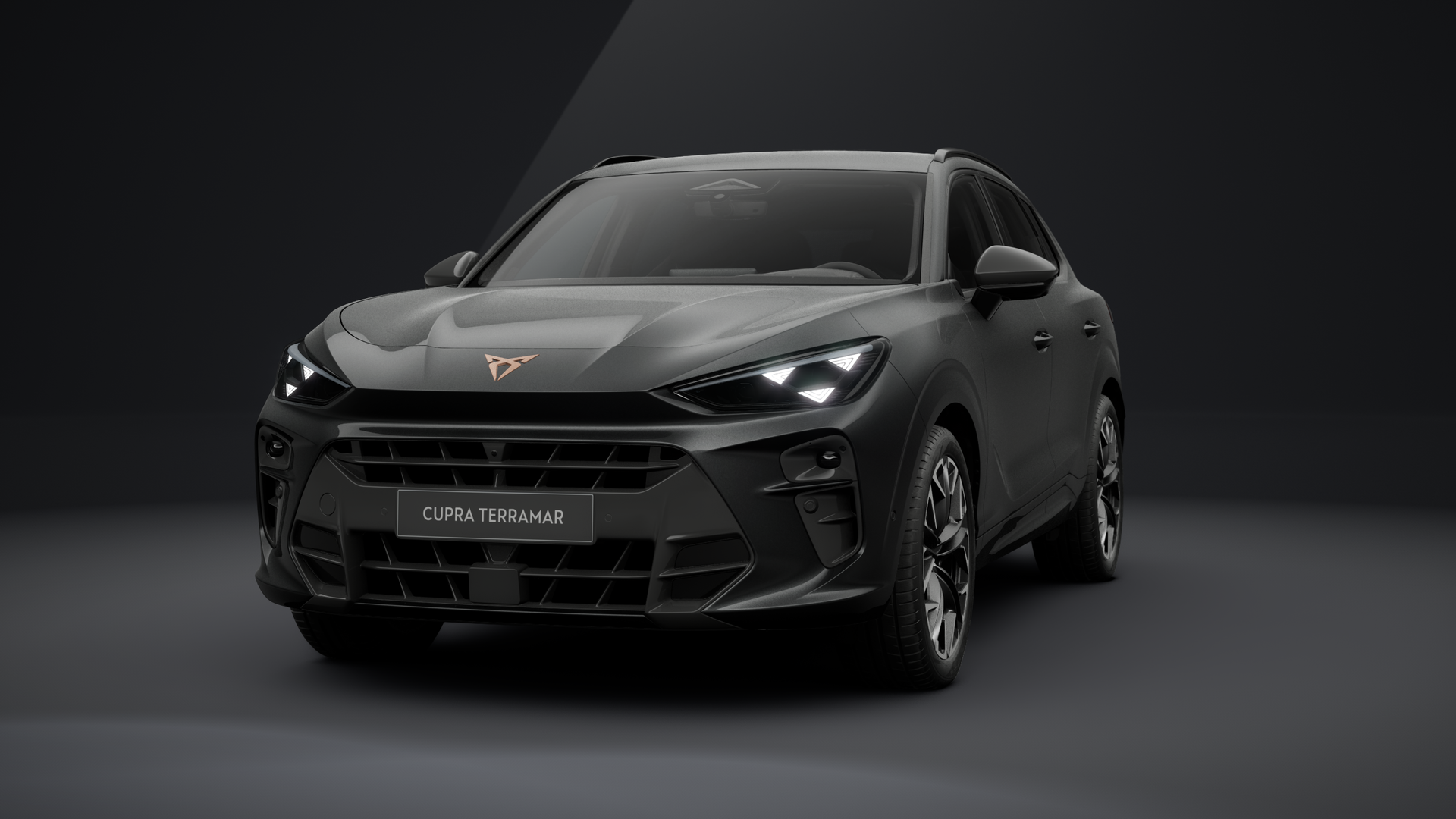 CUPRA Terramar VZ 2.0 TSI 195 kW (265 PS) 7-Gang DSG 4Drive (1203532002025)
