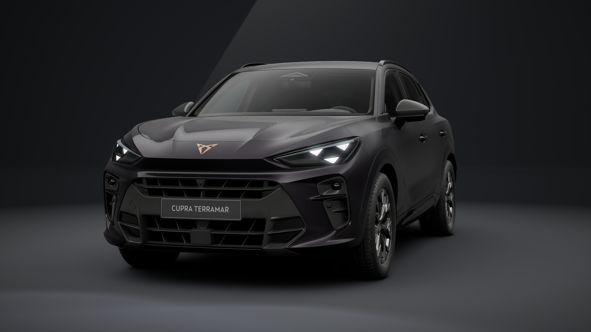 CUPRA Terramar 1.5 eTSI 110 kW (150 PS) 7-Gang-DSG (1204614132026)