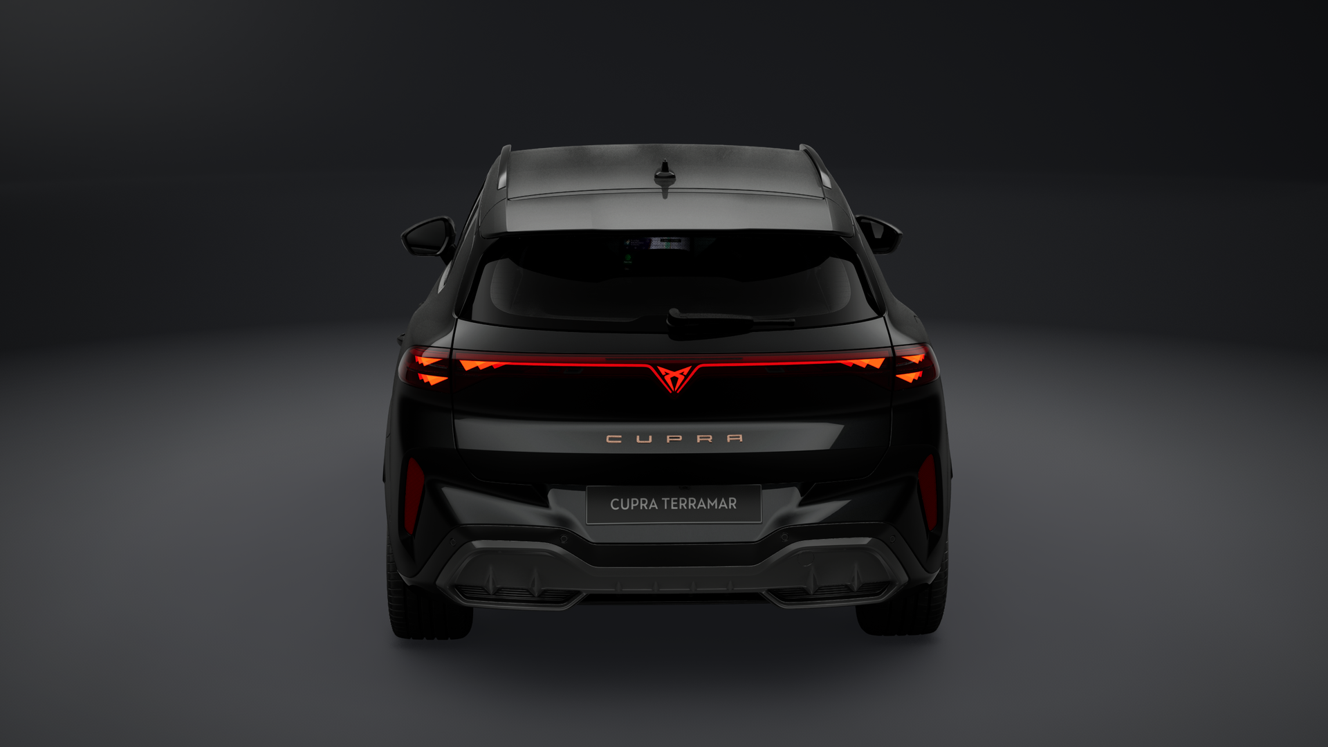 Bild des Autos 2