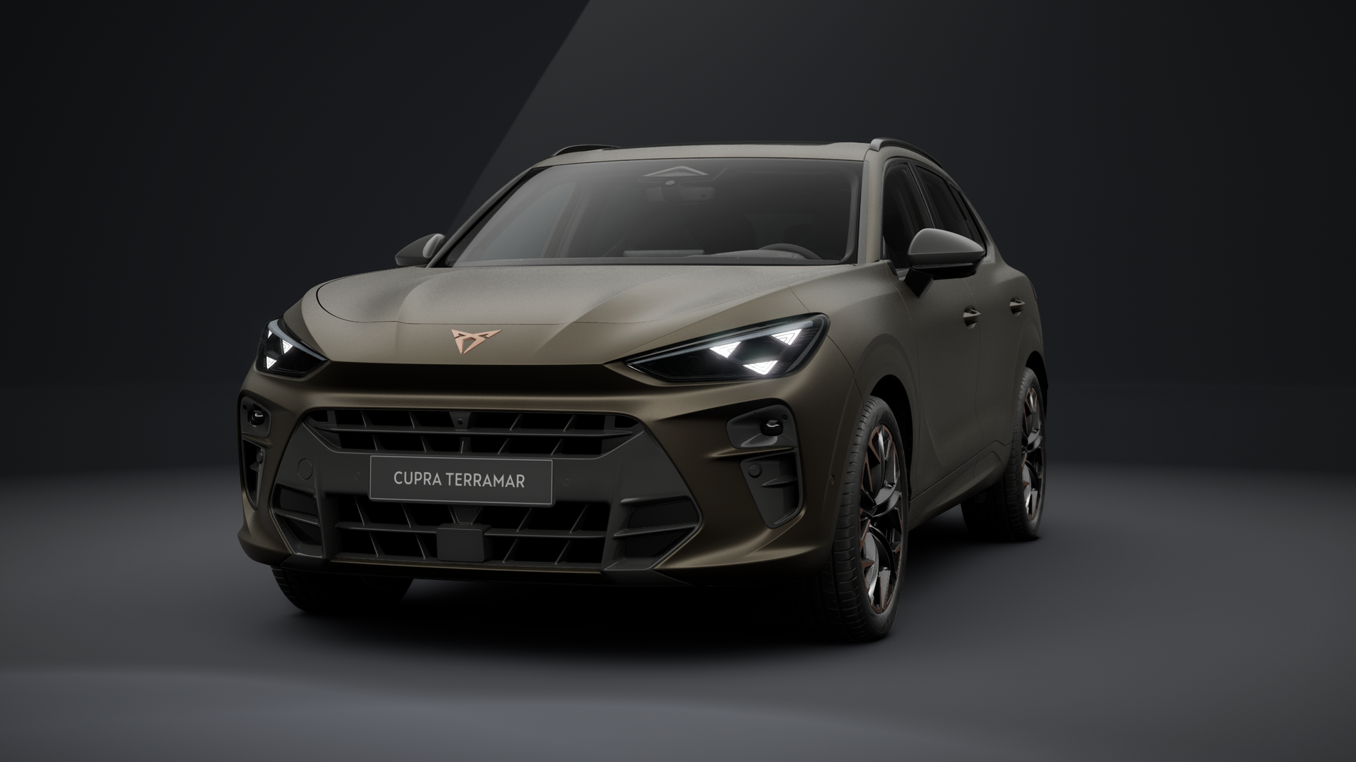 CUPRA Terramar VZ 2.0 TSI 195 kW (265 PS) 7-Gang DSG 4Drive (1204311652026)