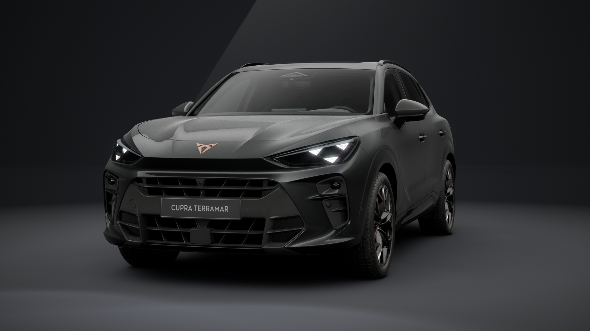 CUPRA Terramar VZ 2.0 TSI 195 kW (265 PS) 7-Gang DSG 4Drive (1204794272026)