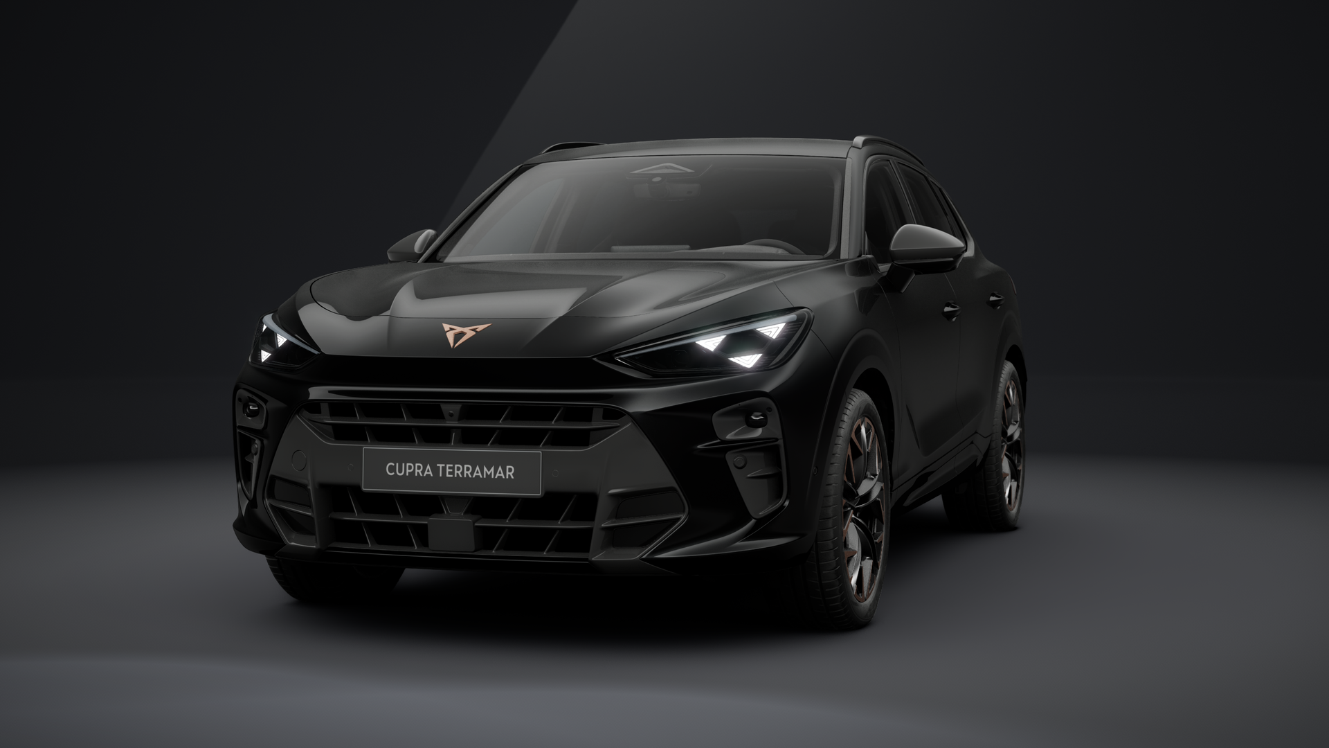 CUPRA Terramar VZ 2.0 TSI 195 kW (265 PS) 7-Gang DSG 4Drive (1203915912026)