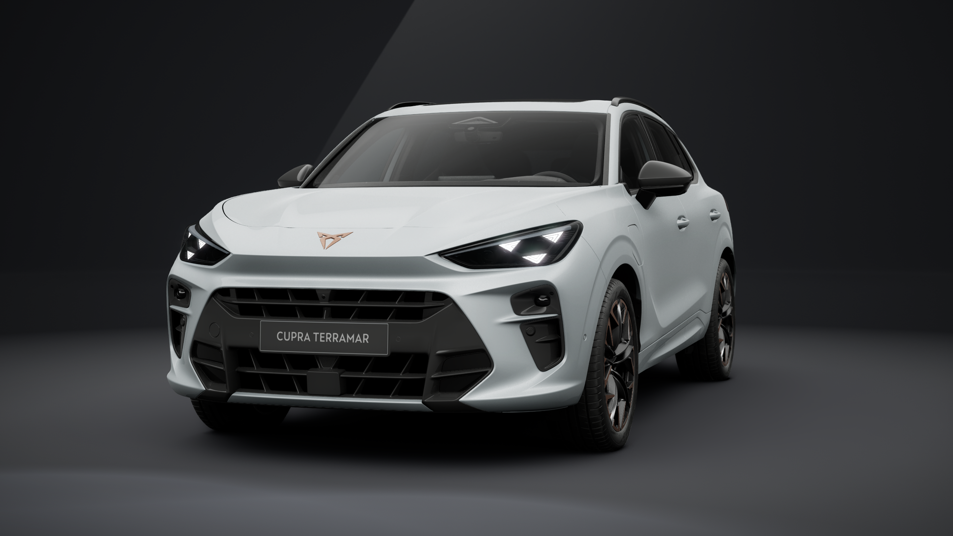CUPRA Terramar VZ 1.5 e-HYBRID 200 kW (272 PS) 6-Gang-DSG (1203383642025)