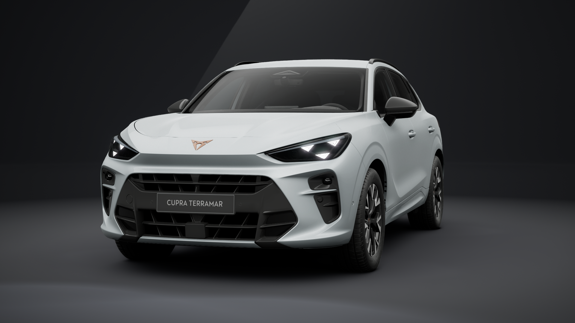 CUPRA Terramar 2.0 TSI 150 kW (204 PS) 7-Gang DSG 4Drive (1202904292025)