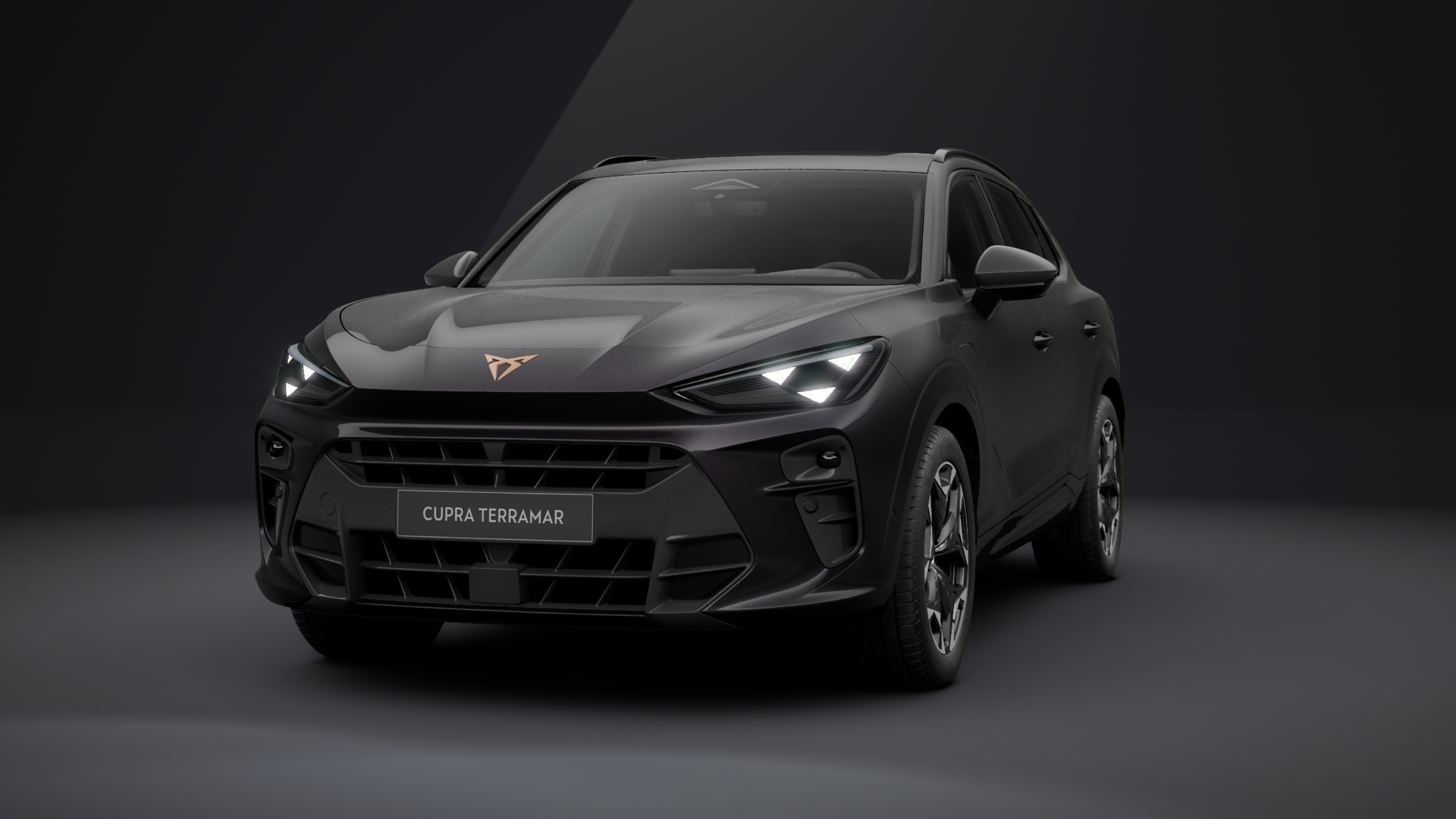 CUPRA Terramar VZ 1.5 e-HYBRID 200 kW (272 PS) 6-Gang-DSG (1202869922025)