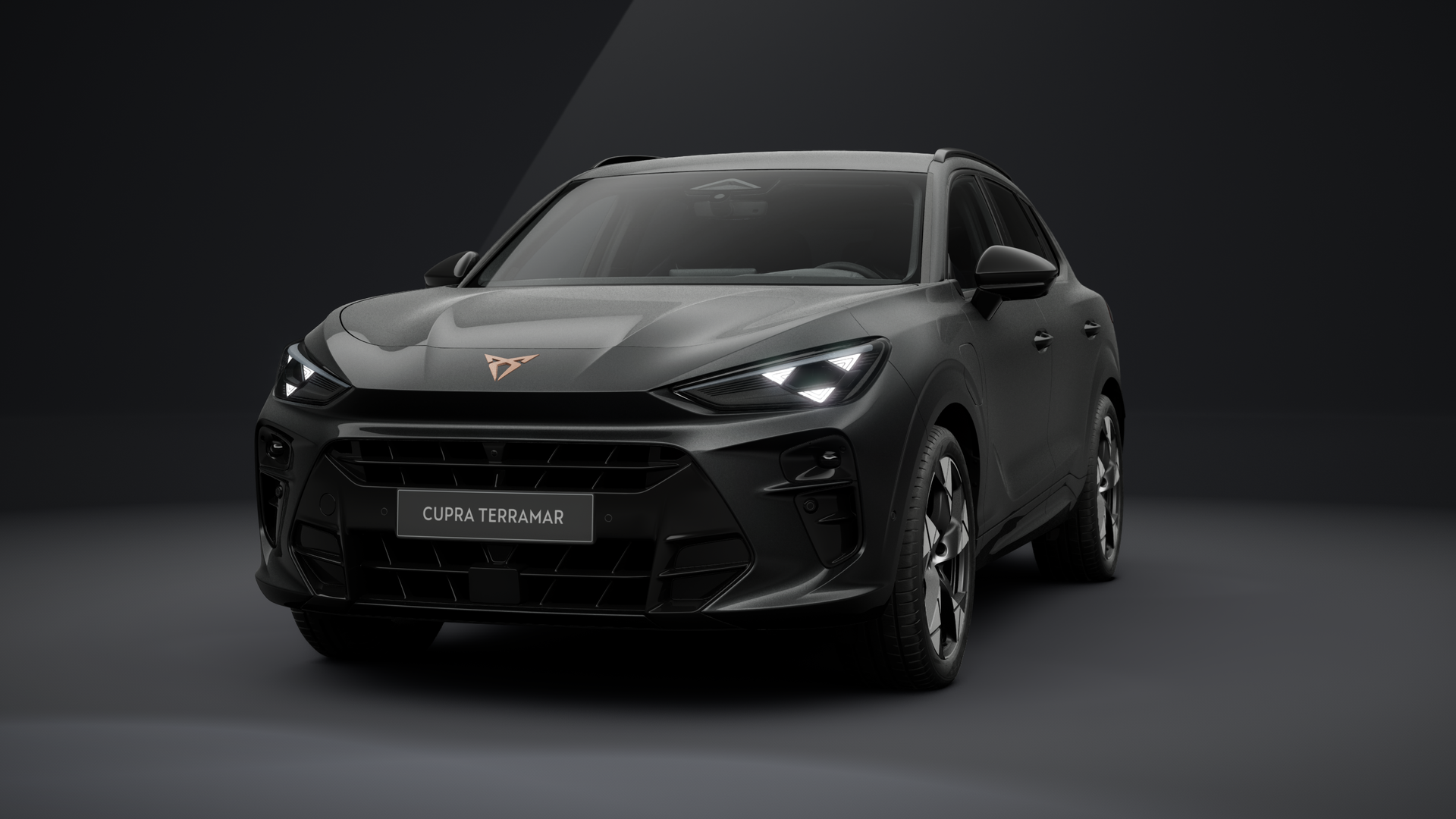 CUPRA Terramar 1.5 e-HYBRID 150 kW (204 PS) 6-Gang-DSG (1203334332025)