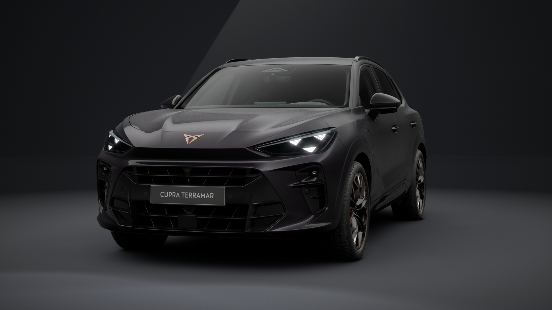 CUPRA Terramar VZ 1.5 e-HYBRID 200 kW (272 PS) 6-Gang-DSG (1203184162025)