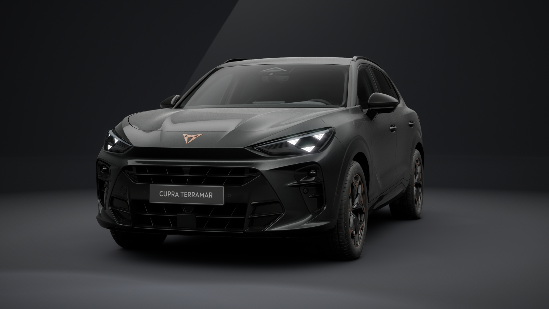 CUPRA Terramar 2.0 TSI 150 kW (204 PS) 7-Gang DSG 4Drive (1202826562025)