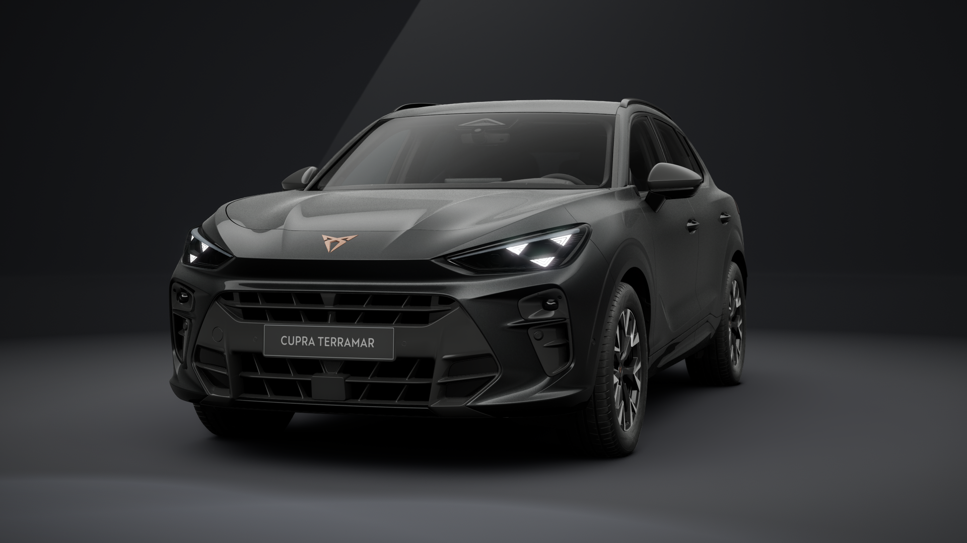 CUPRA Terramar 1.5 eTSI 110 kW (150 PS) 7-Gang-DSG (1202870472025)