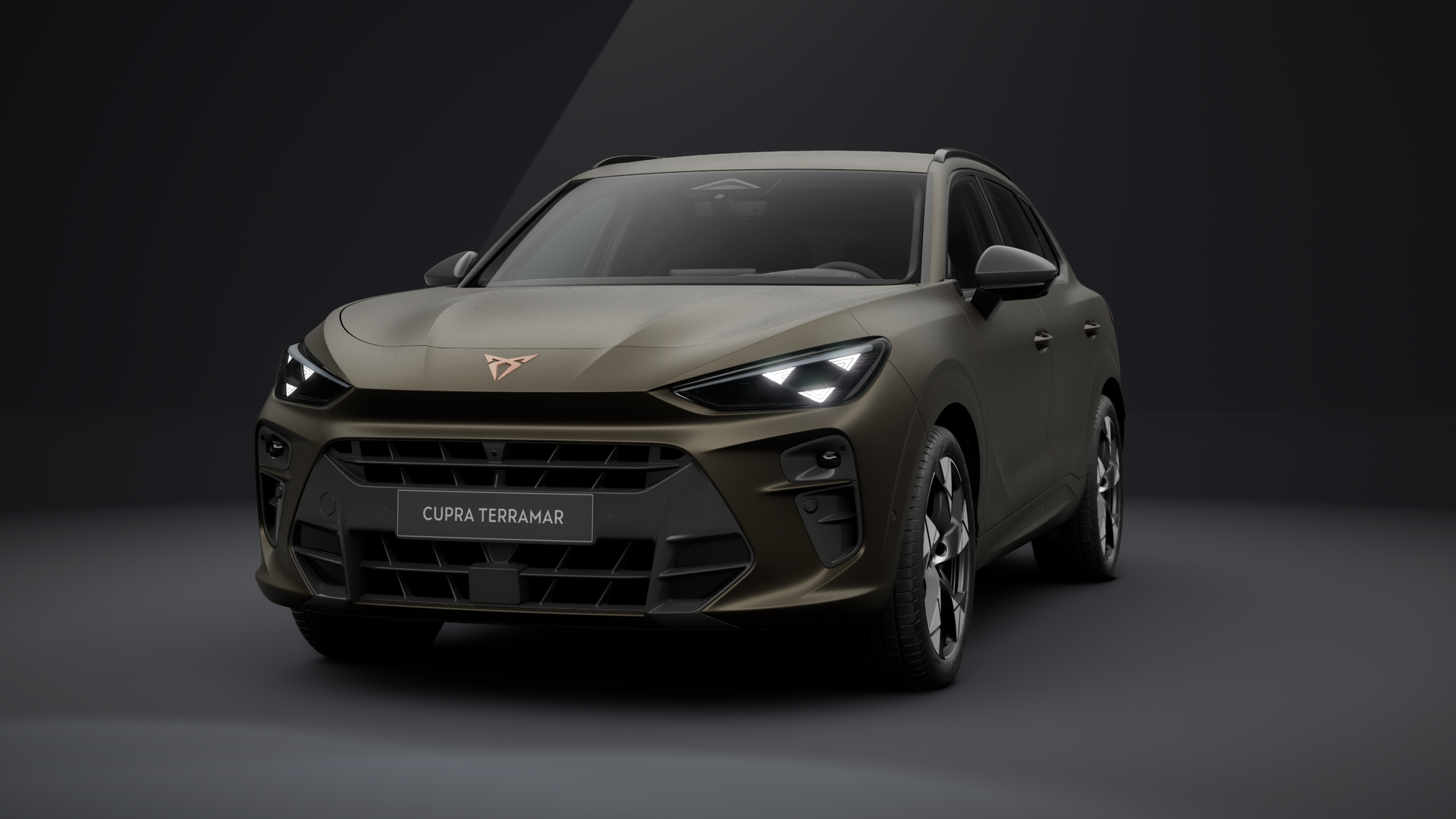 CUPRA Terramar VZ 2.0 TSI 195 kW (265 PS) 7-Gang DSG 4Drive (1203746612026)