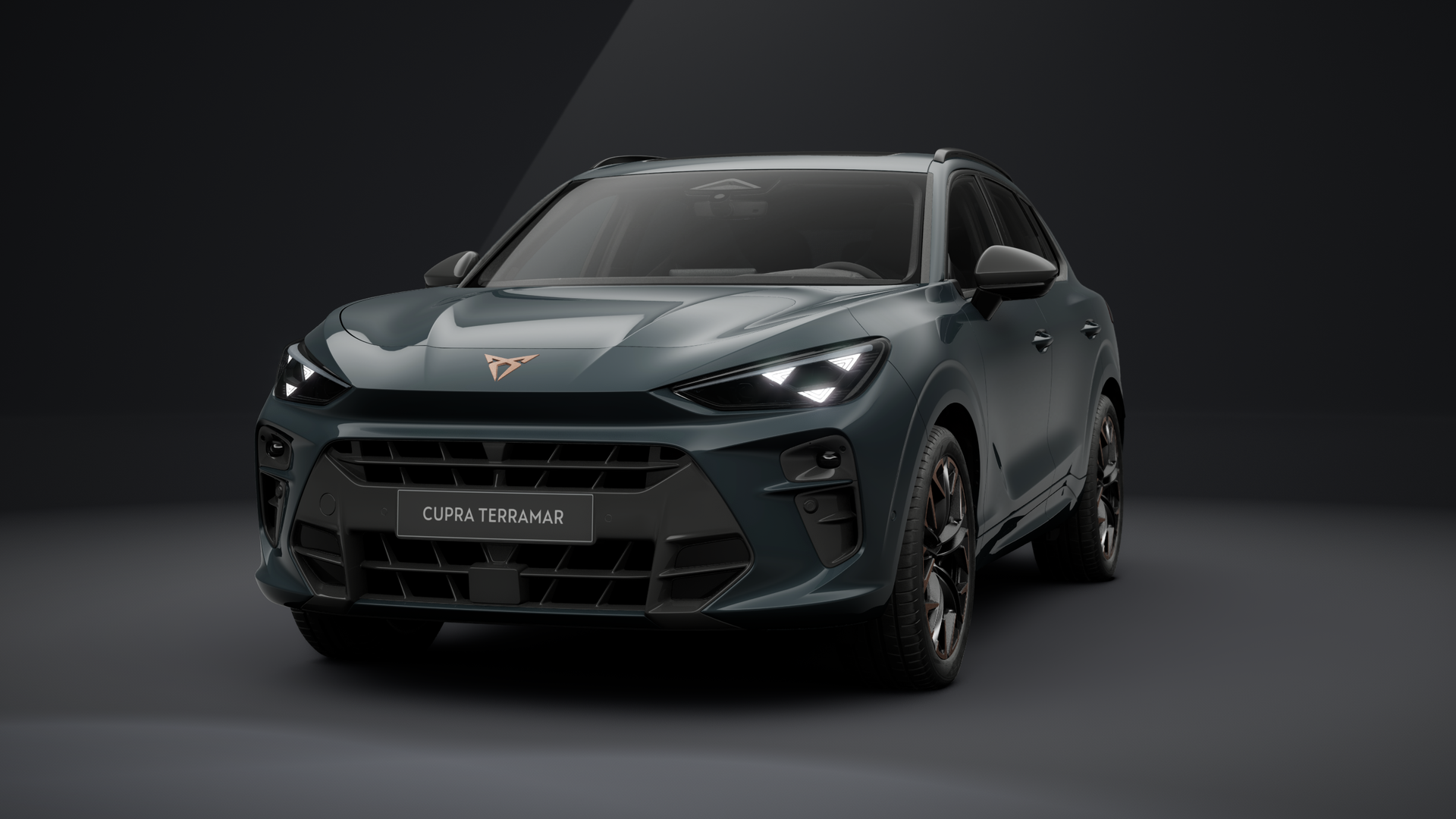 CUPRA Terramar VZ 2.0 TSI 195 kW (265 PS) 7-Gang DSG 4Drive (1202904662025)