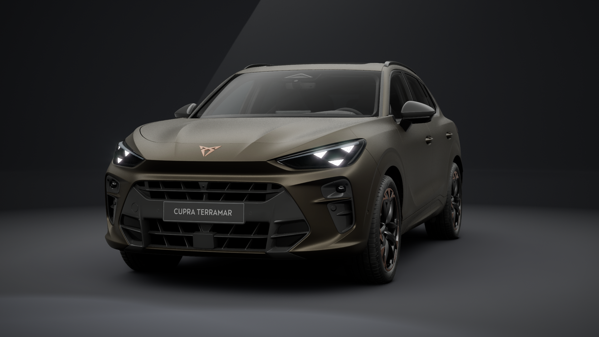CUPRA Terramar VZ 2.0 TSI 195 kW (265 PS) 7-Gang DSG 4Drive (1203784042026)