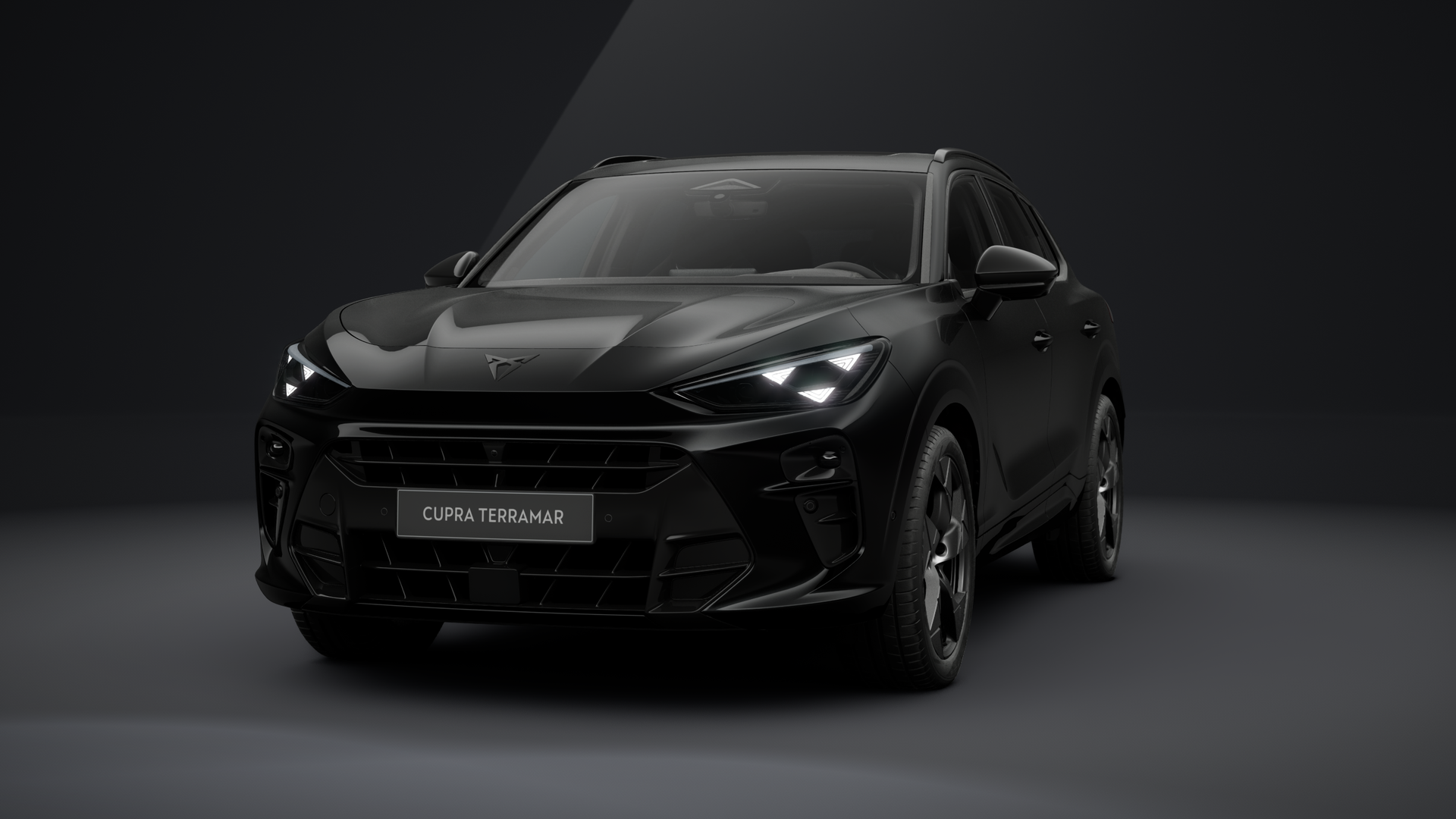 CUPRA Terramar VZ Tribe Edition 2.0 TSI 195 kW (265 PS) 7-Gang DSG 4Drive (1204464352026)