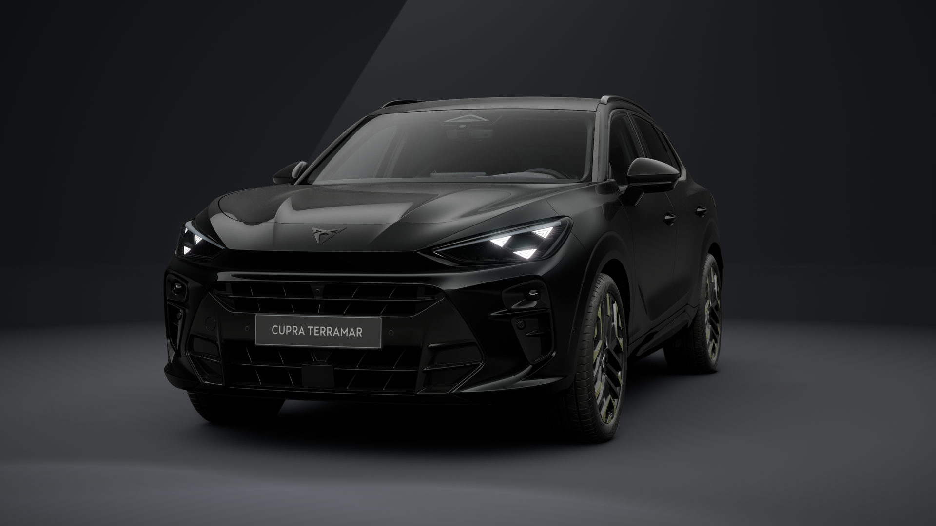 CUPRA Terramar VZ Tribe Edition 2.0 TSI 195 kW (265 PS) 7-Gang DSG 4Drive (1203530492025)