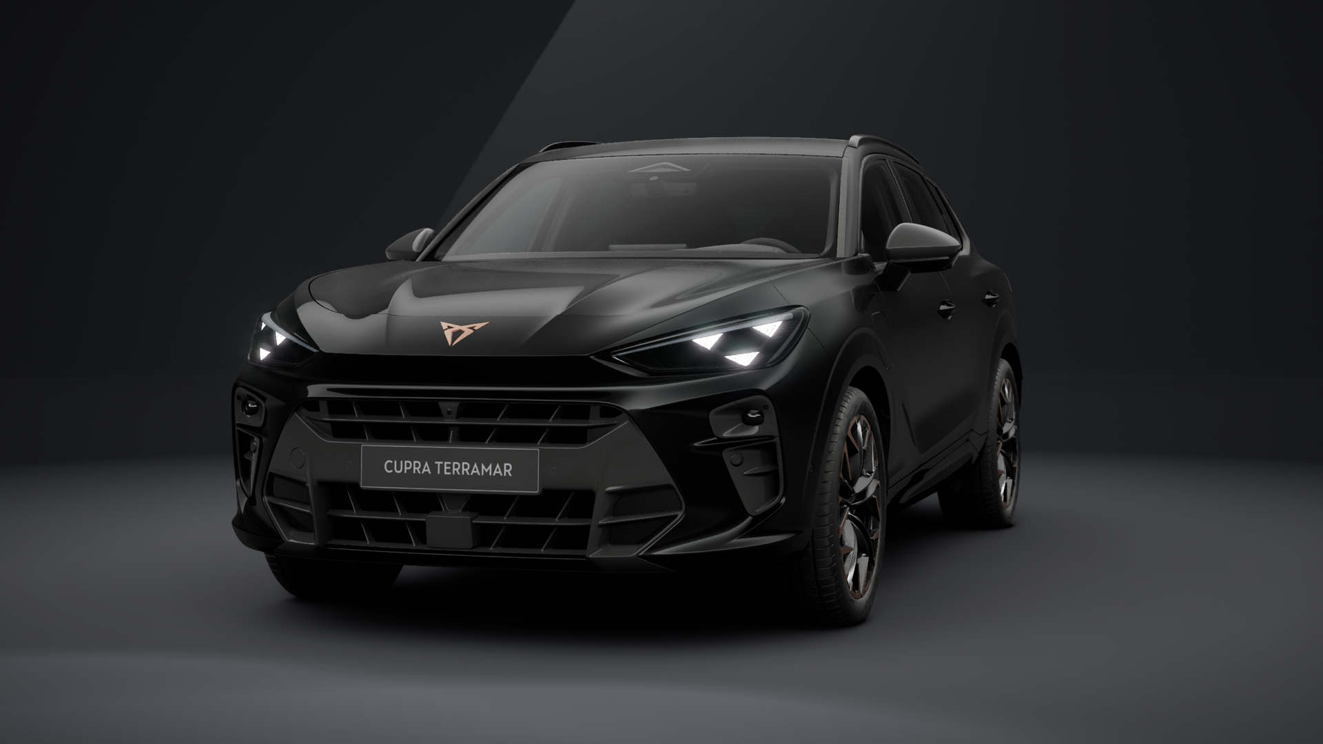 CUPRA Terramar VZ 1.5 e-HYBRID 200 kW (272 PS) 6-Gang-DSG (1204276772026)
