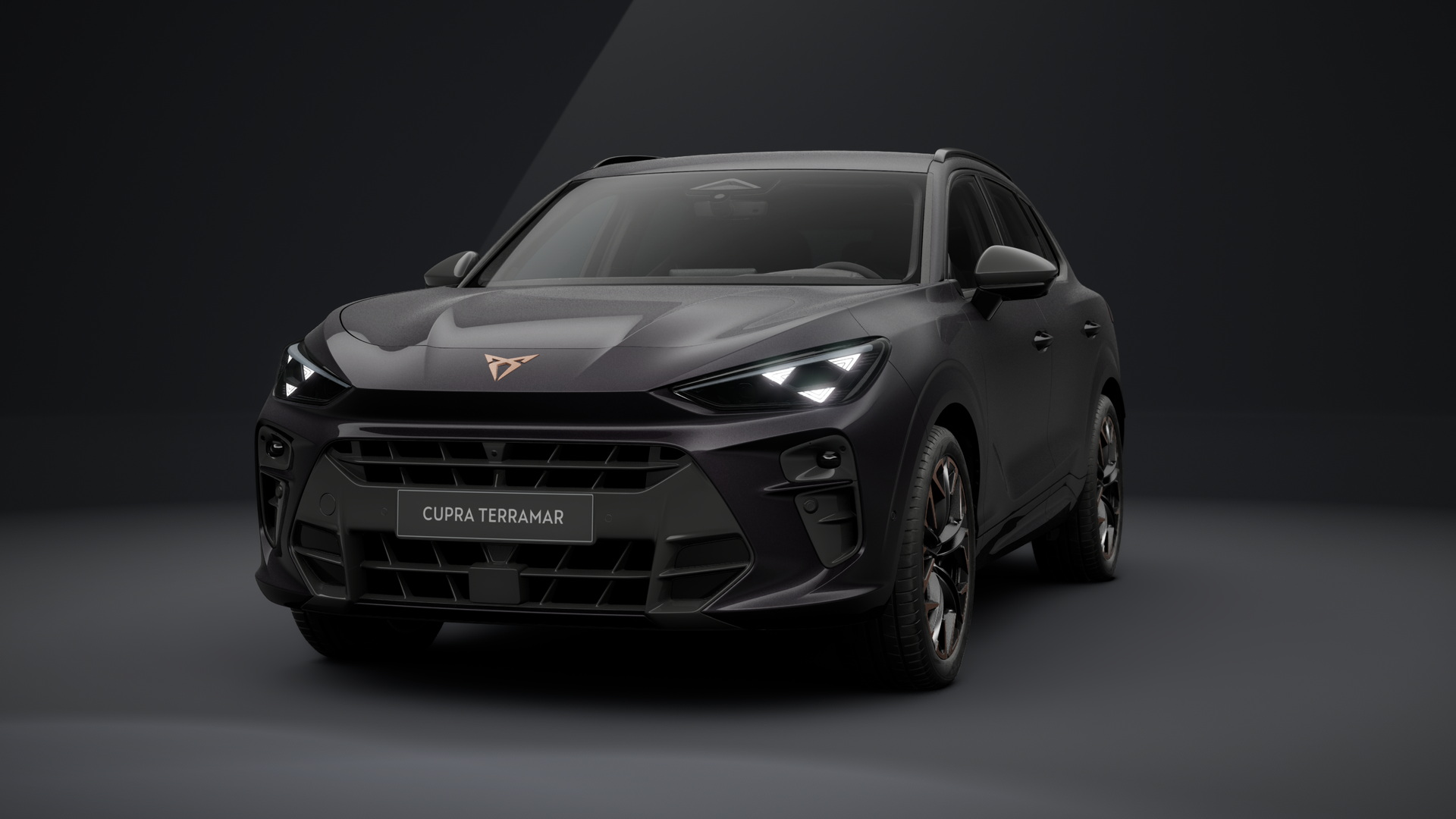 CUPRA Terramar VZ 2.0 TSI 195 kW (265 PS) 7-Gang DSG 4Drive (1202981222025)