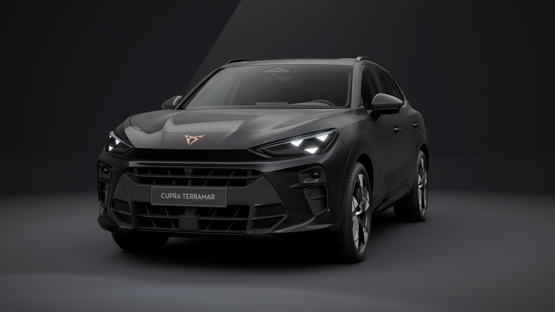 CUPRA Terramar VZ 1.5 e-HYBRID 200 kW (272 PS) 6-Gang-DSG (1202870222025)