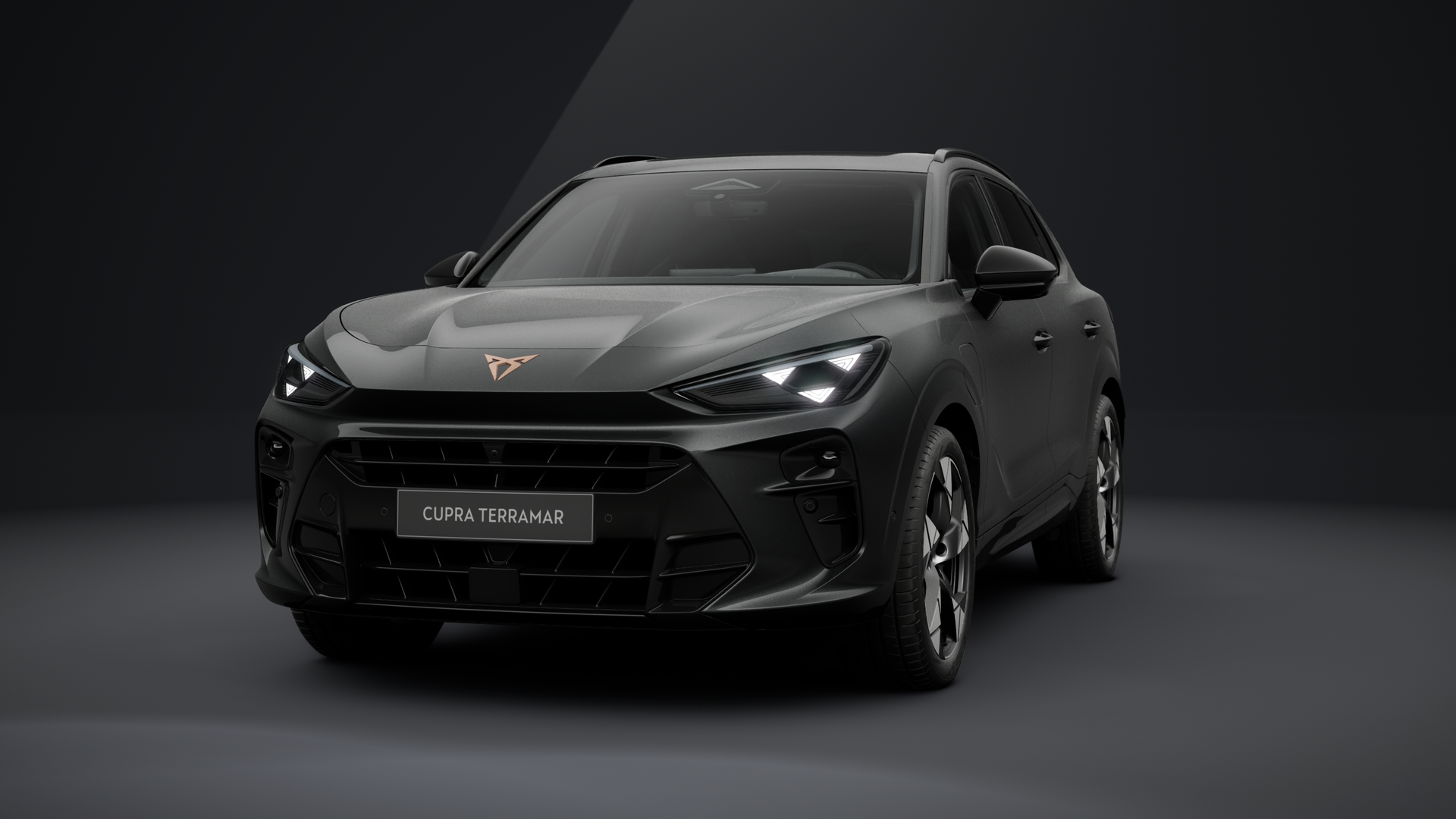 CUPRA Terramar VZ 1.5 e-HYBRID 200 kW (272 PS) 6-Gang-DSG (1202869542025)