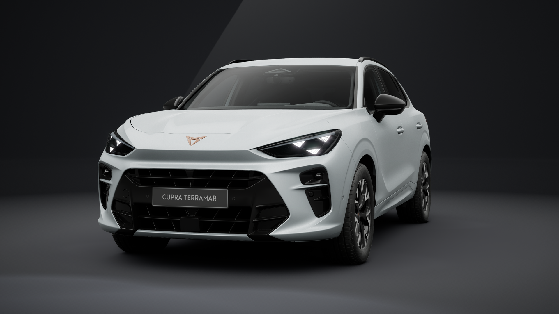 CUPRA Terramar 1.5 eTSI 110 kW (150 PS) 7-Gang-DSG (1202871762025)