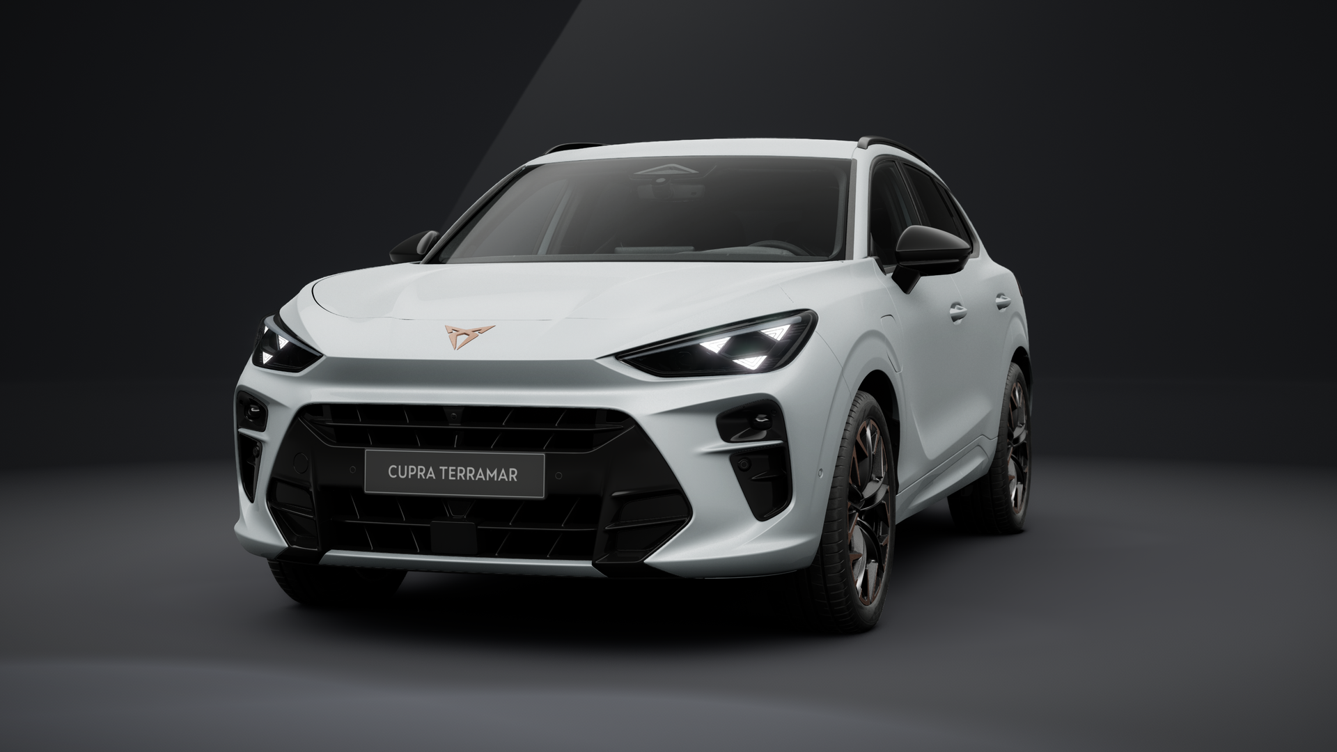 CUPRA Terramar VZ 1.5 e-HYBRID 200 kW (272 PS) 6-Gang-DSG (1203303662025)
