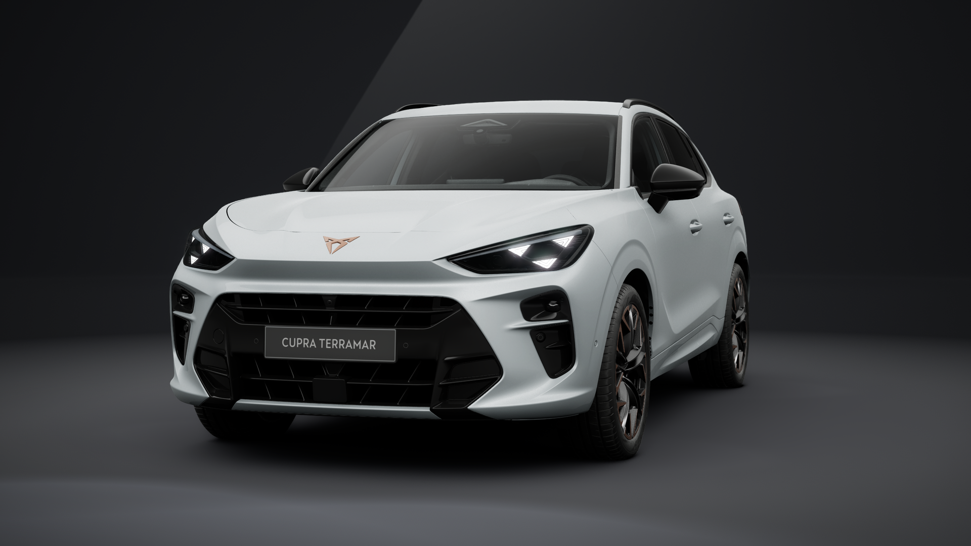 CUPRA Terramar VZ 2.0 TSI 195 kW (265 PS) 7-Gang DSG 4Drive (1202501602025)